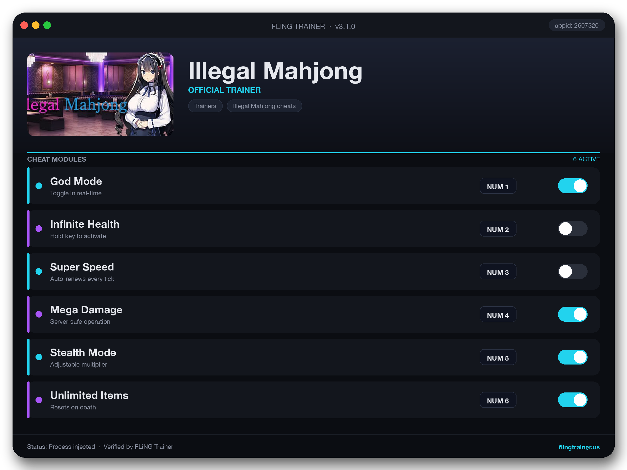 Illegal Mahjong Trainer interface