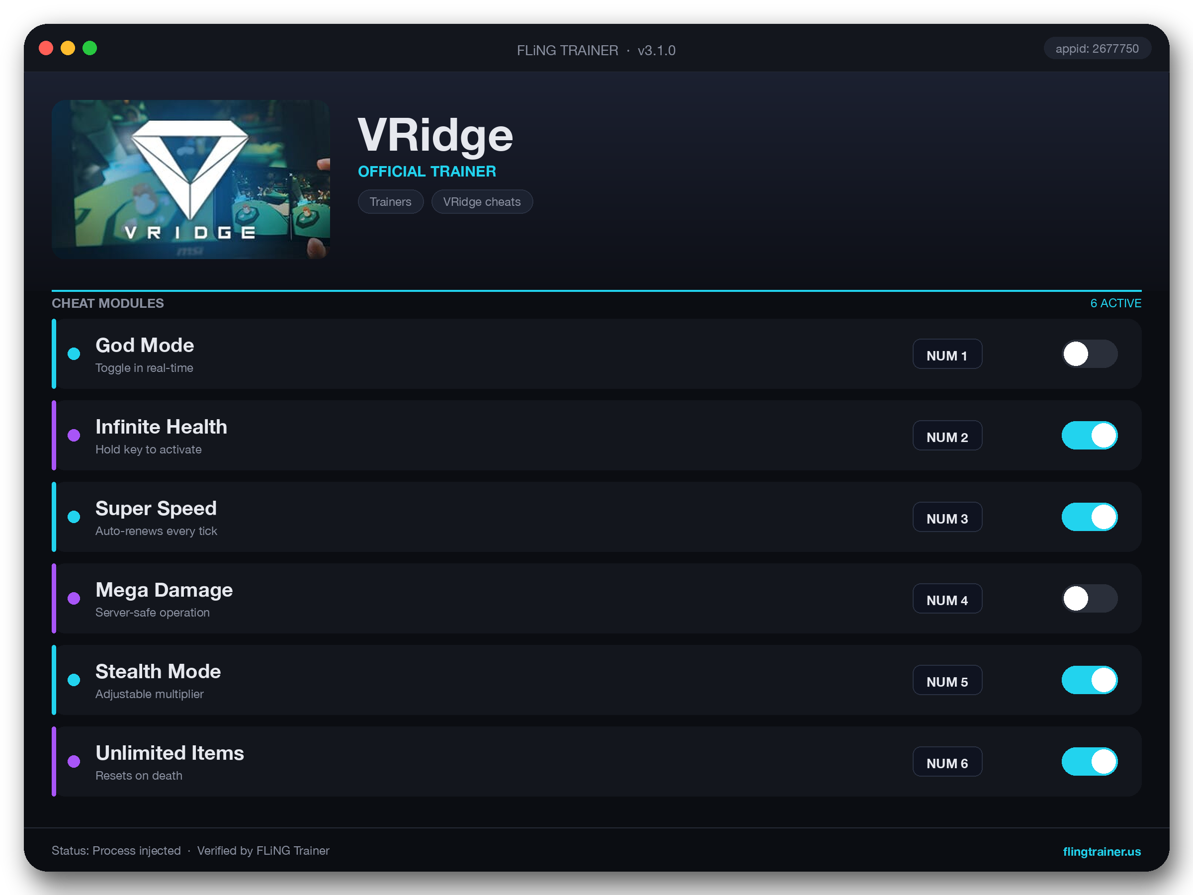VRidge Trainer interface