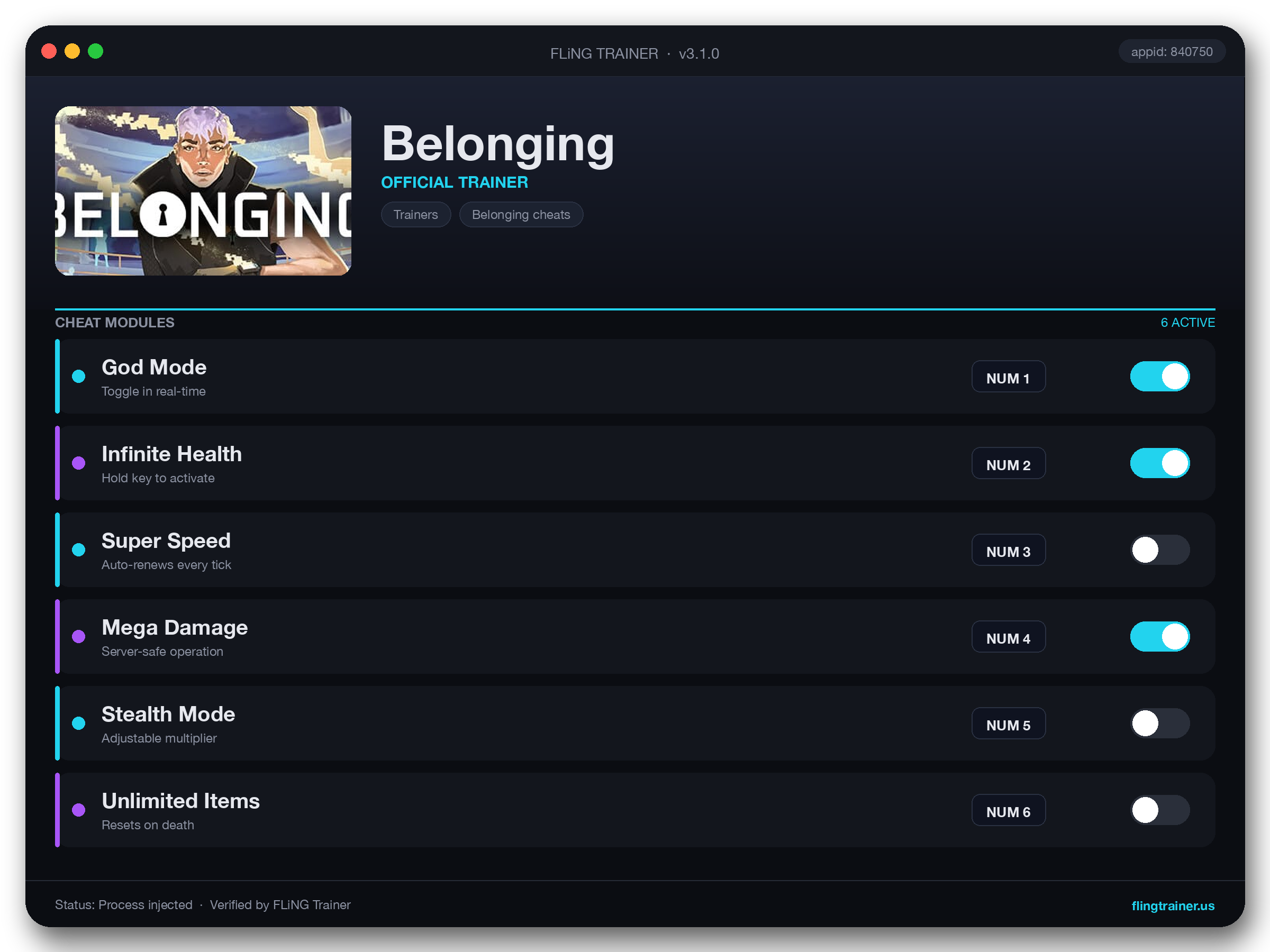 Belonging Trainer interface