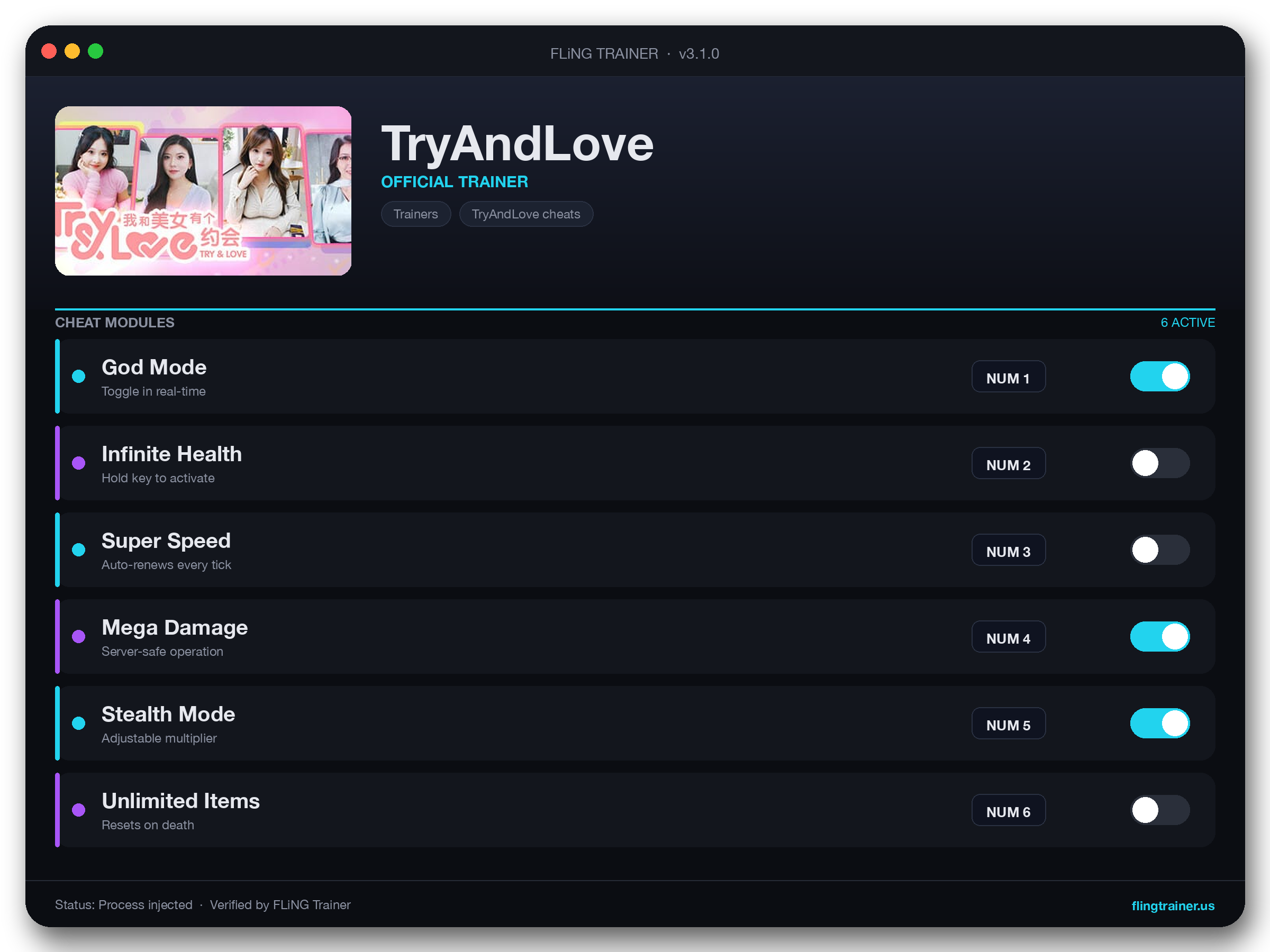 TryAndLove Trainer interface