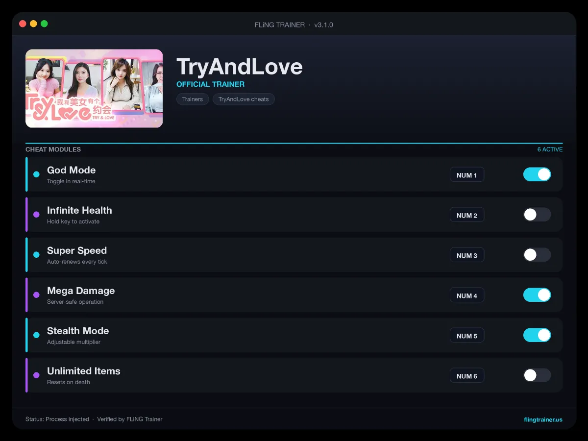 TryAndLove Trainer interface