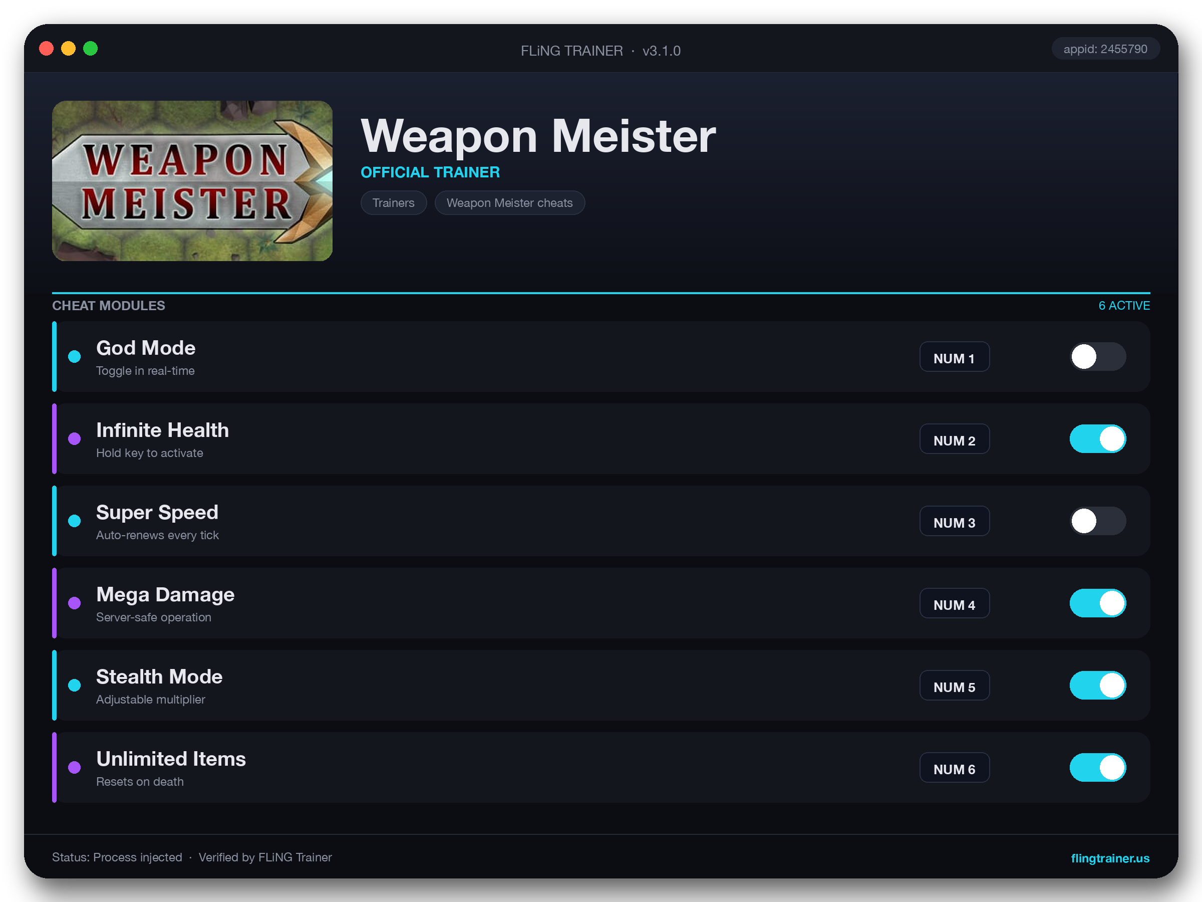Weapon Meister Trainer interface