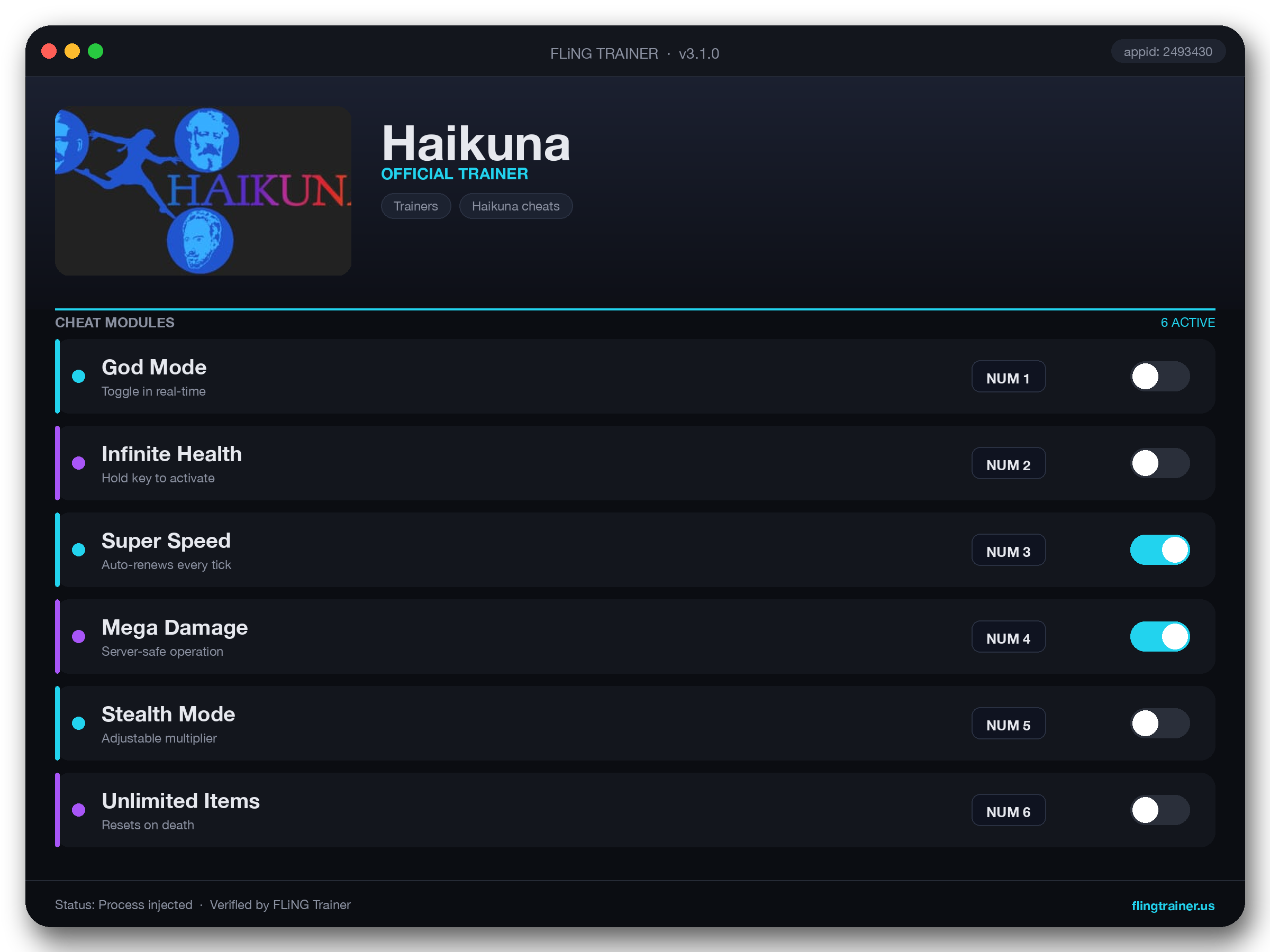 Haikuna Trainer interface