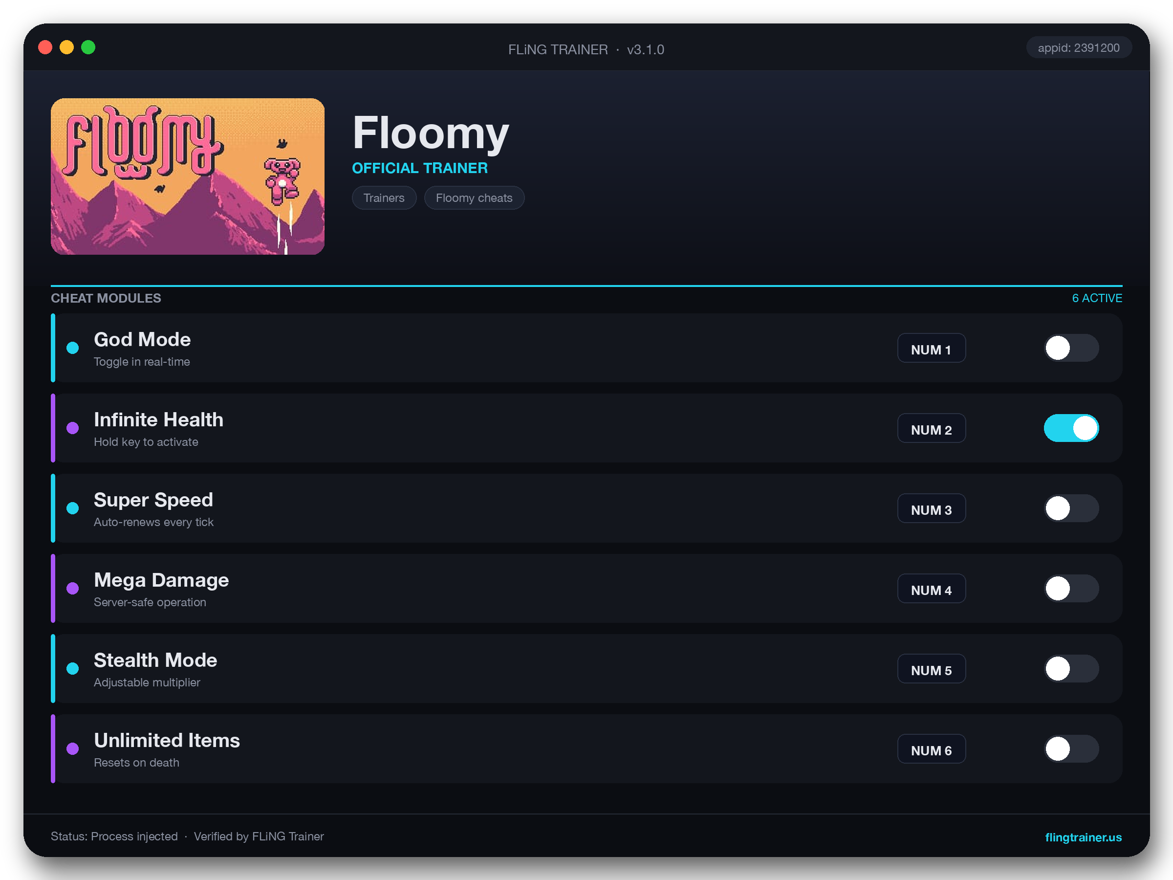 Floomy Trainer interface