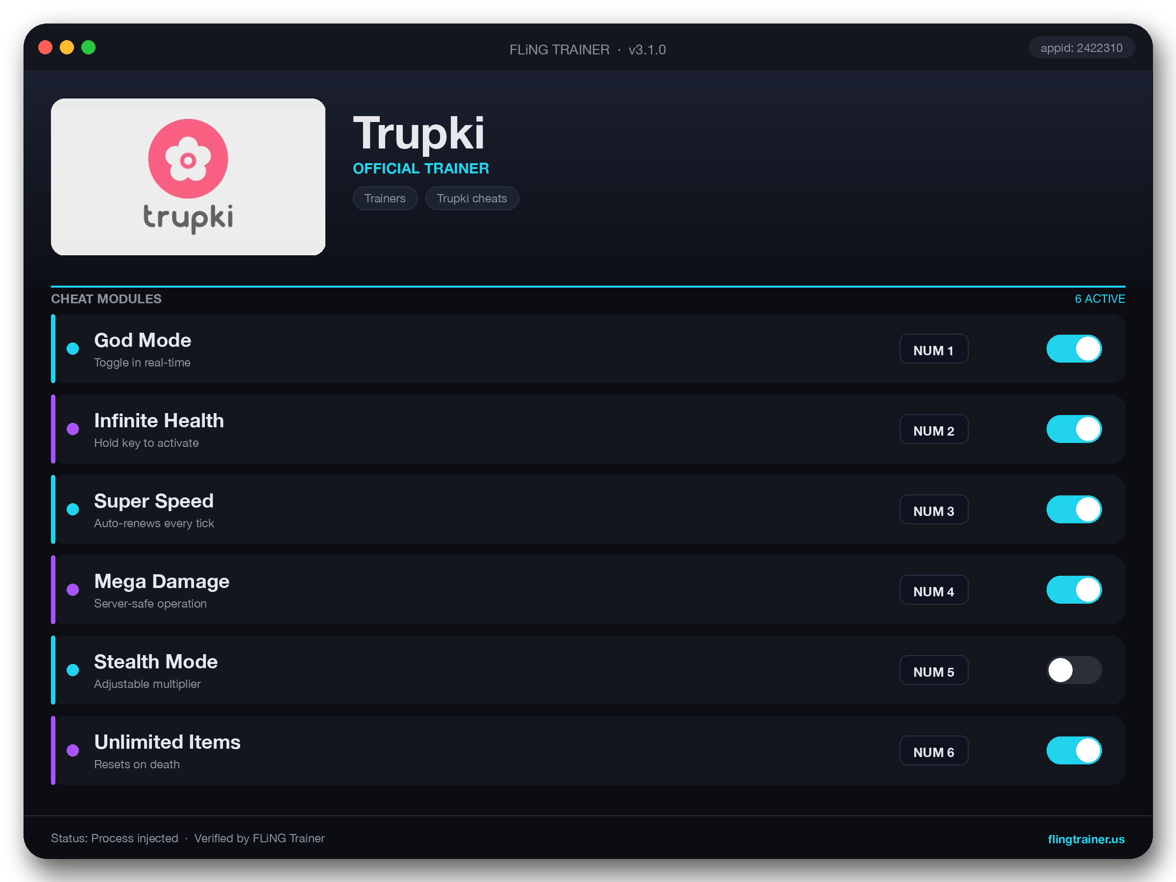 Trupki Trainer interface