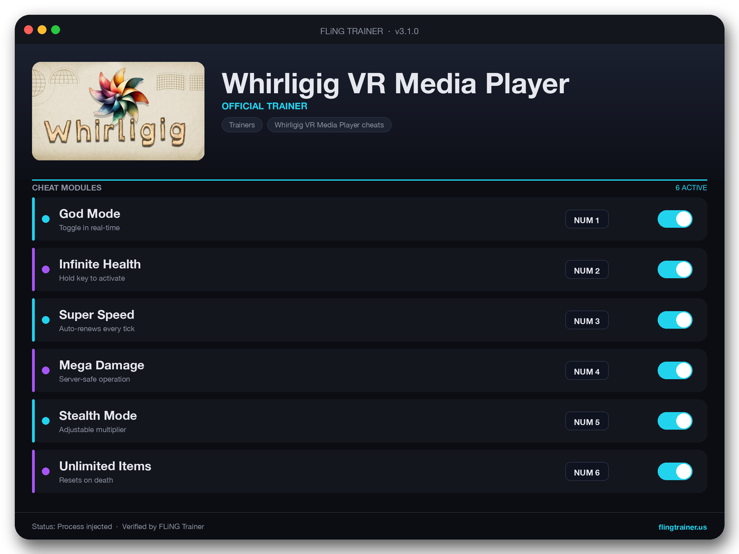 Whirligig VR Media Player Trainer interface