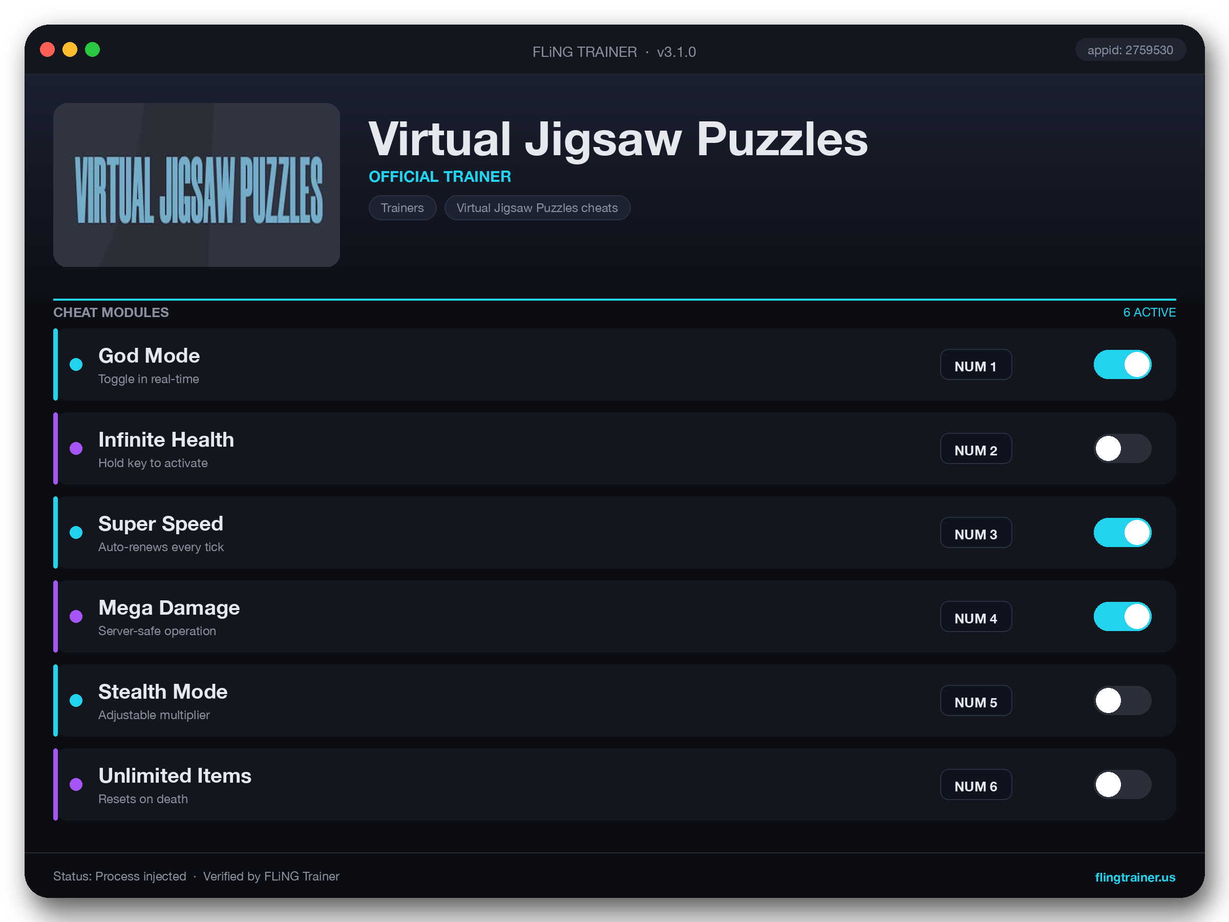 Virtual Jigsaw Puzzles Trainer interface