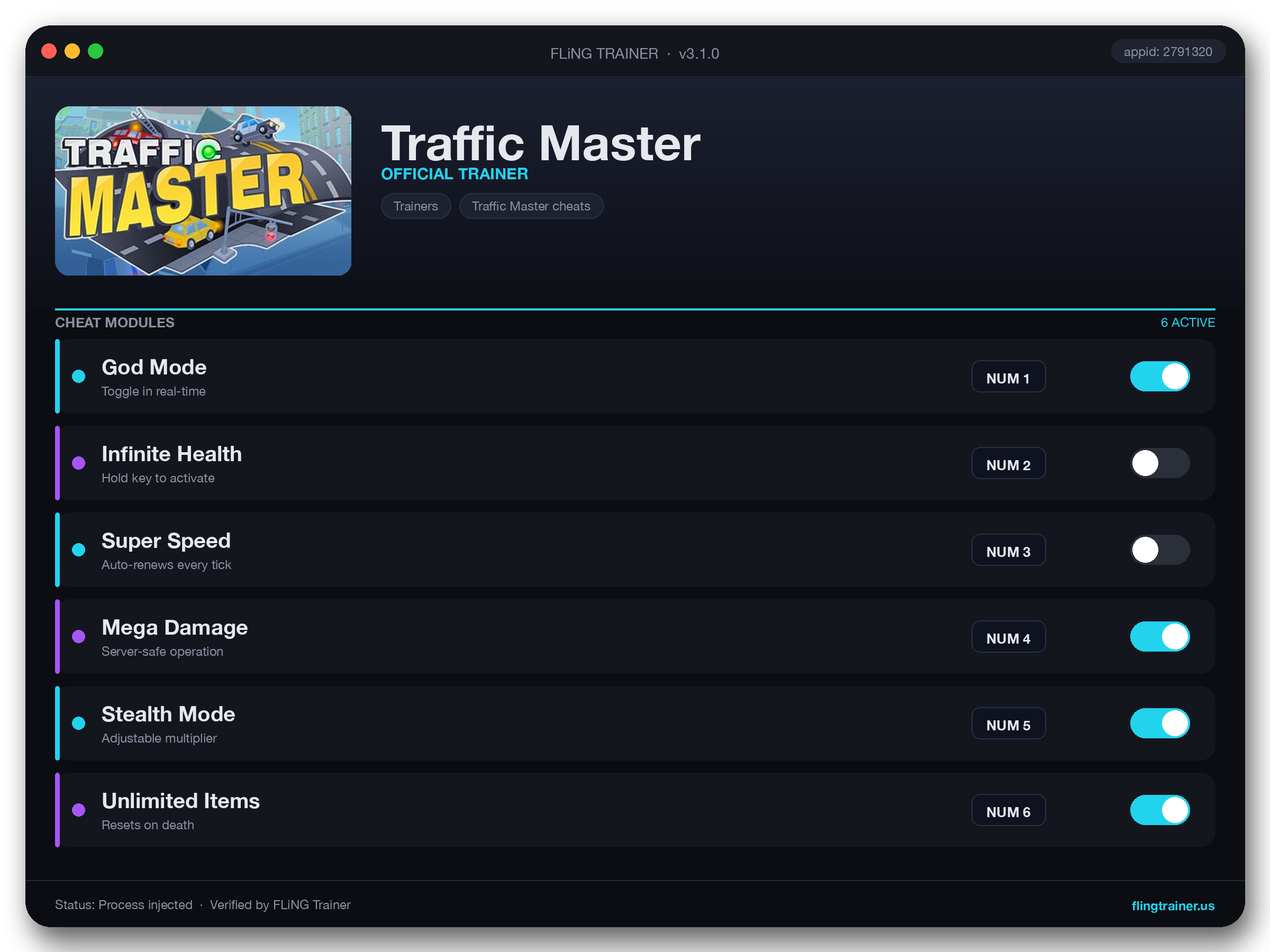 Traffic Master Trainer interface