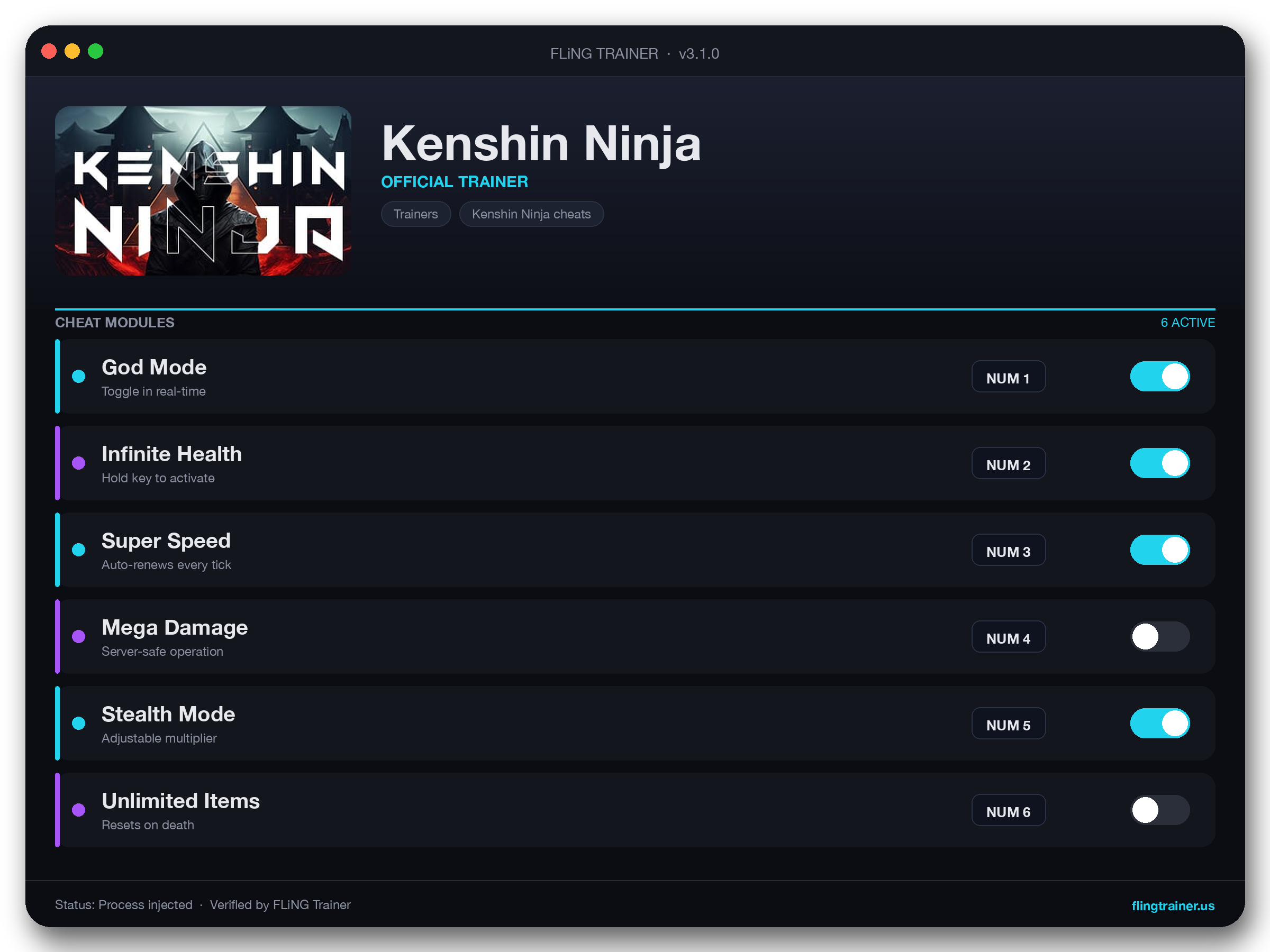 Kenshin Ninja Trainer interface