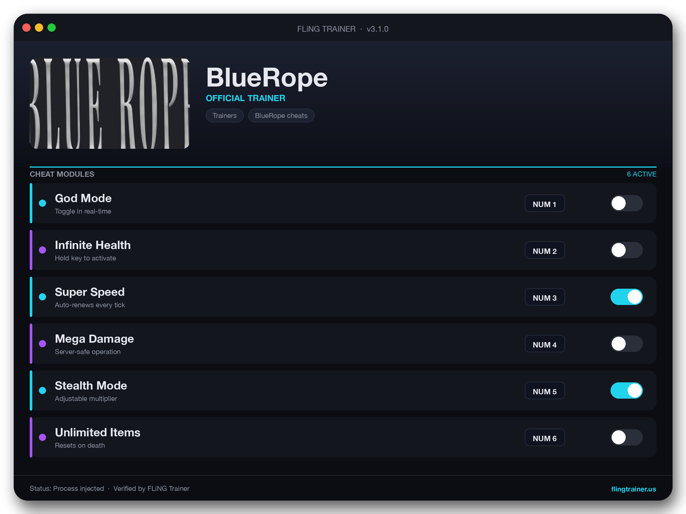 BlueRope Trainer interface