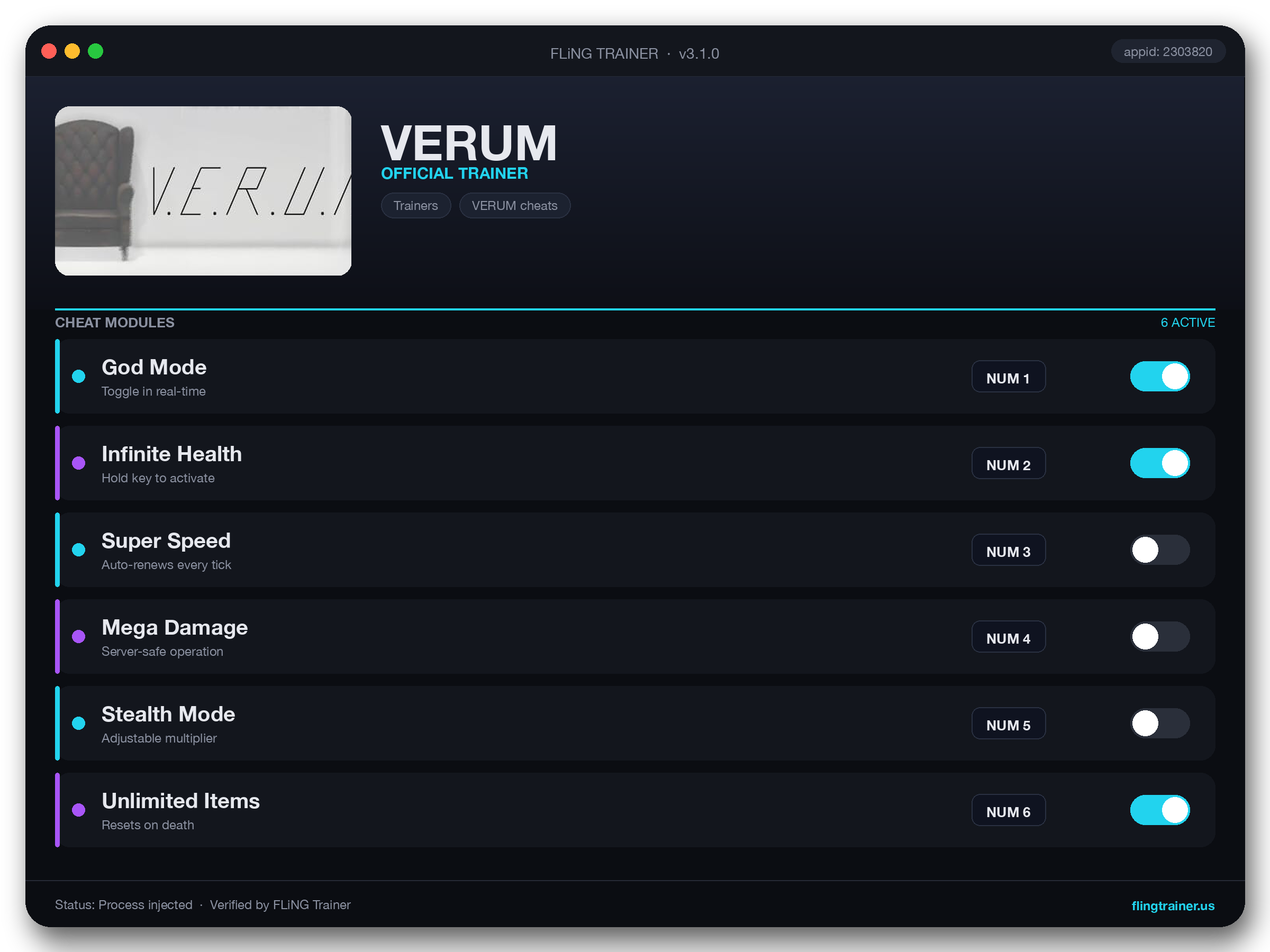 VERUM Trainer interface