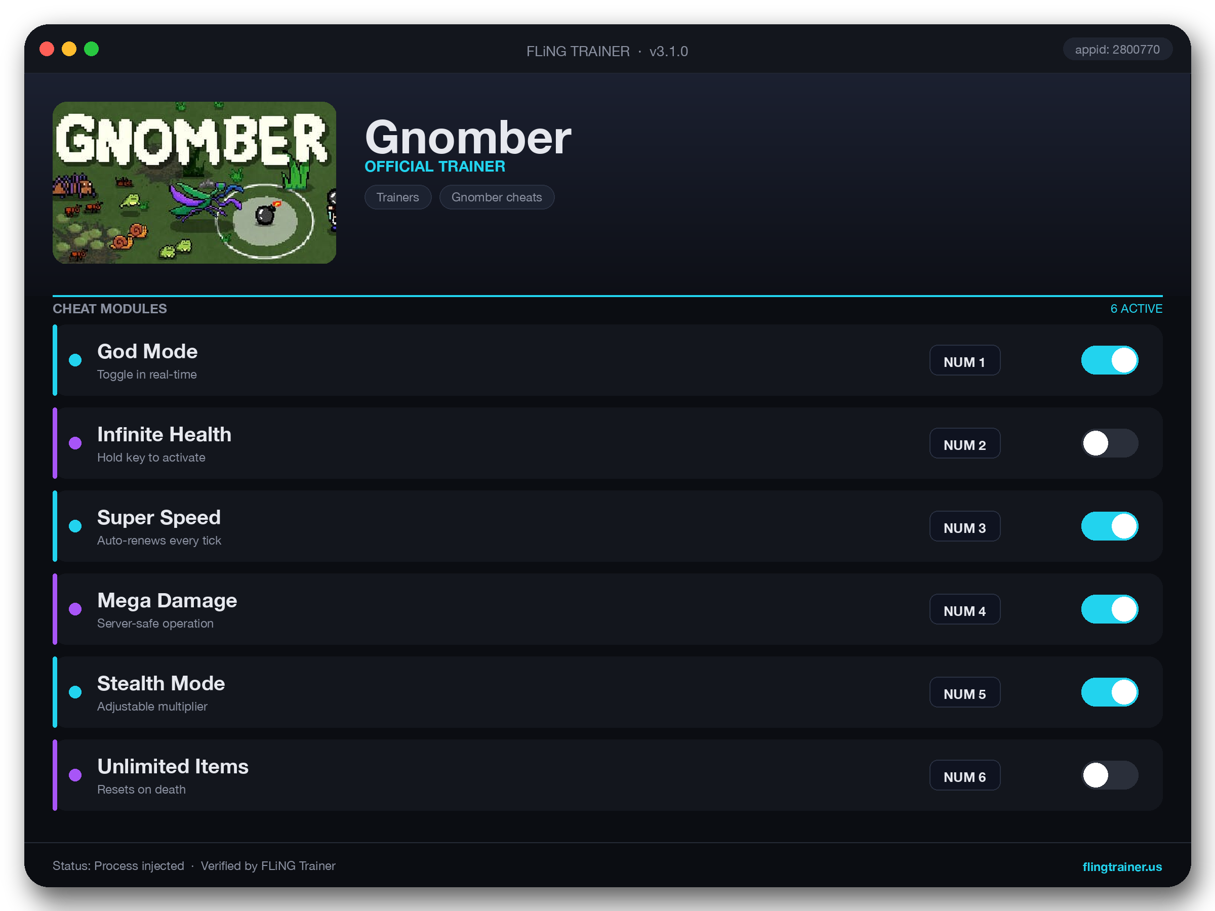 Gnomber Trainer interface