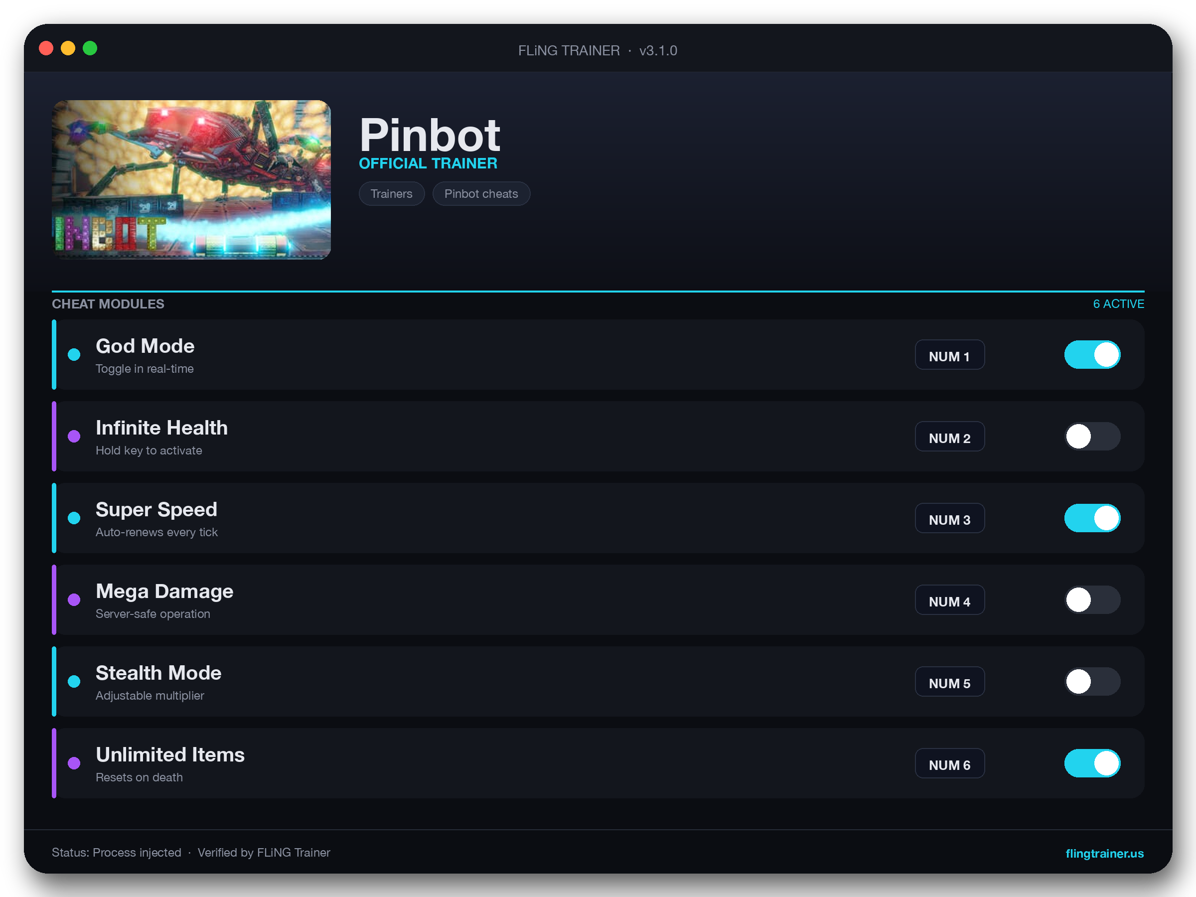 Pinbot Trainer interface