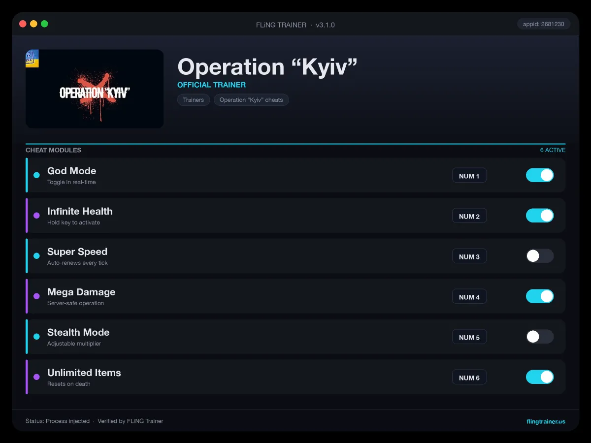 Operation “Kyiv” Trainer interface