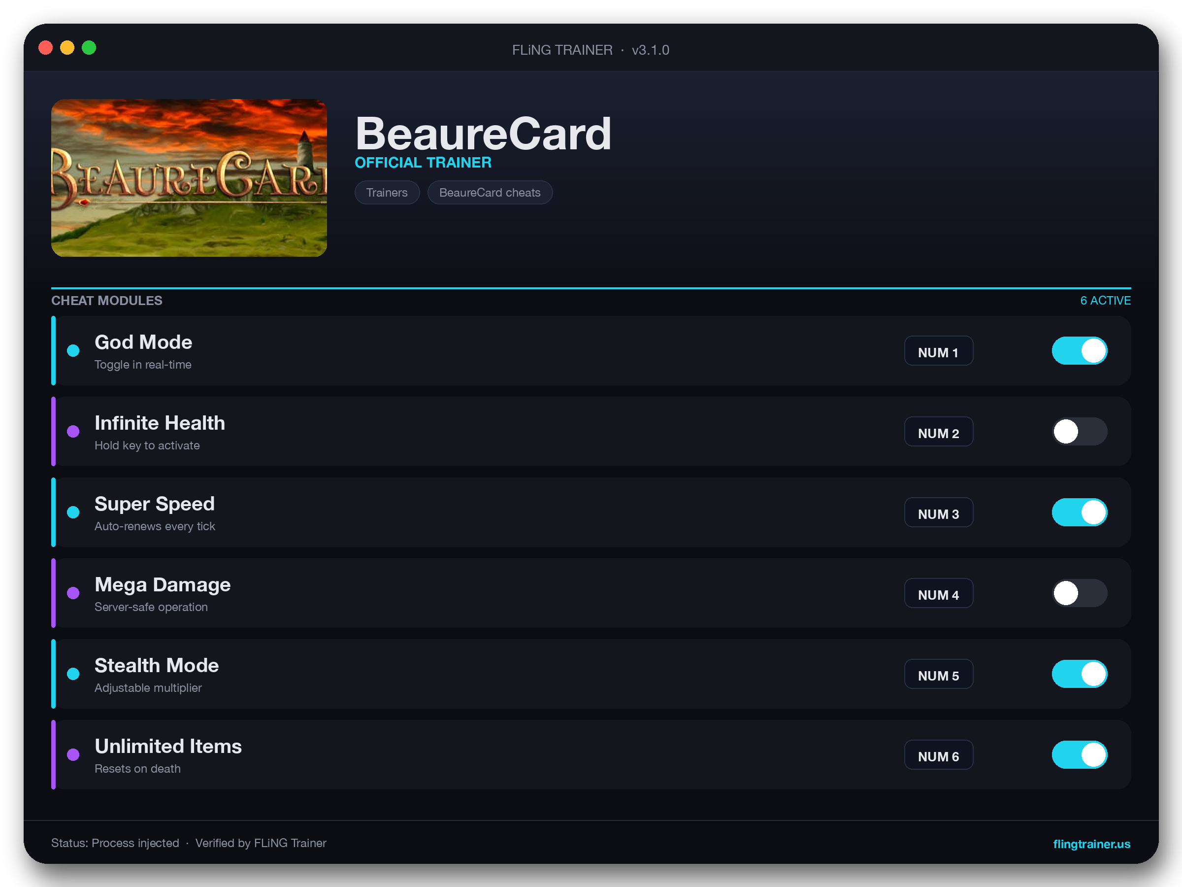 BeaureCard Trainer interface