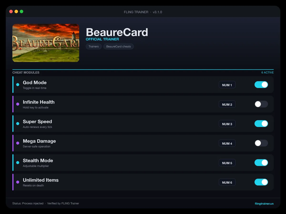 BeaureCard Trainer interface