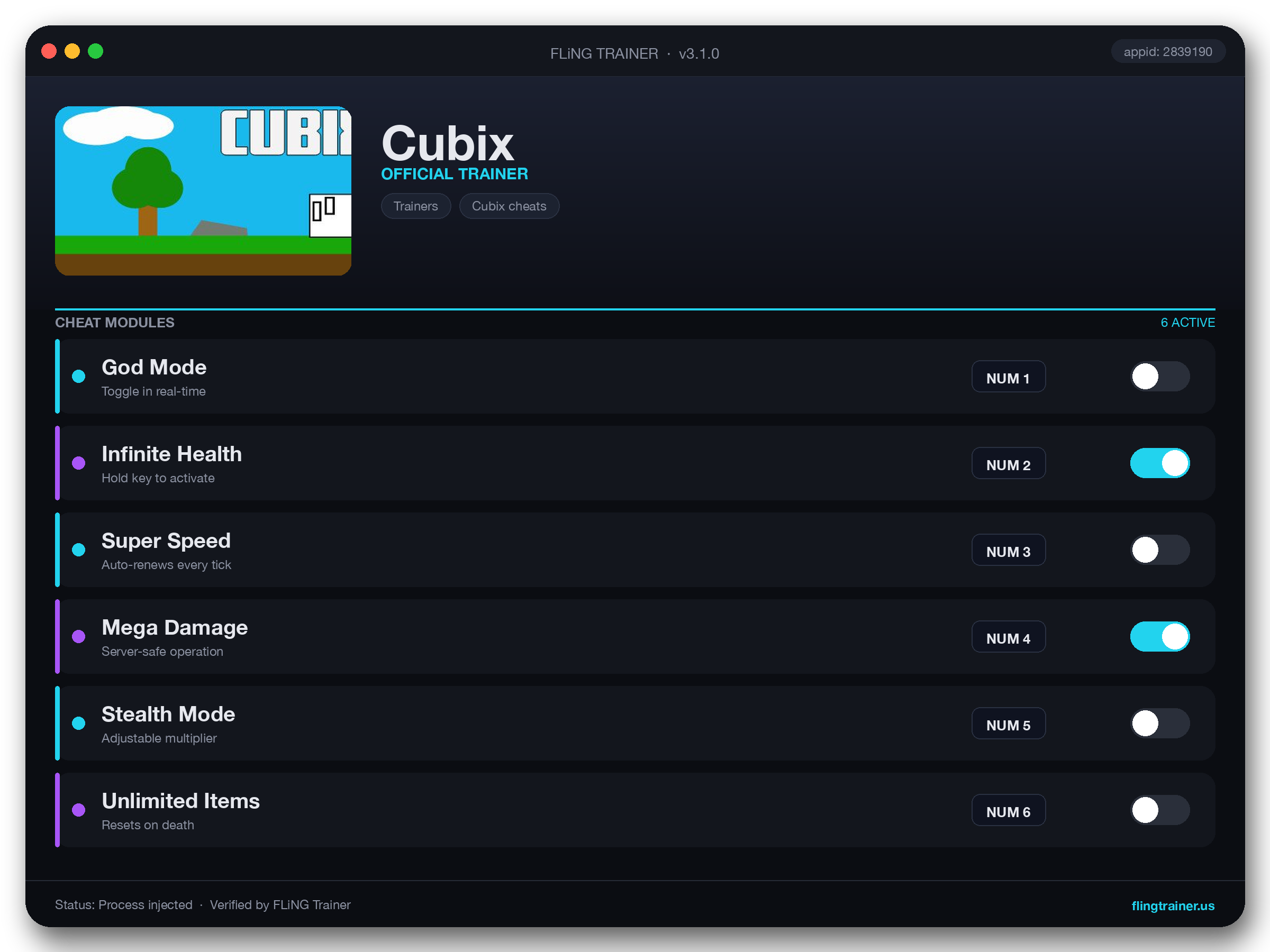 Cubix Trainer interface