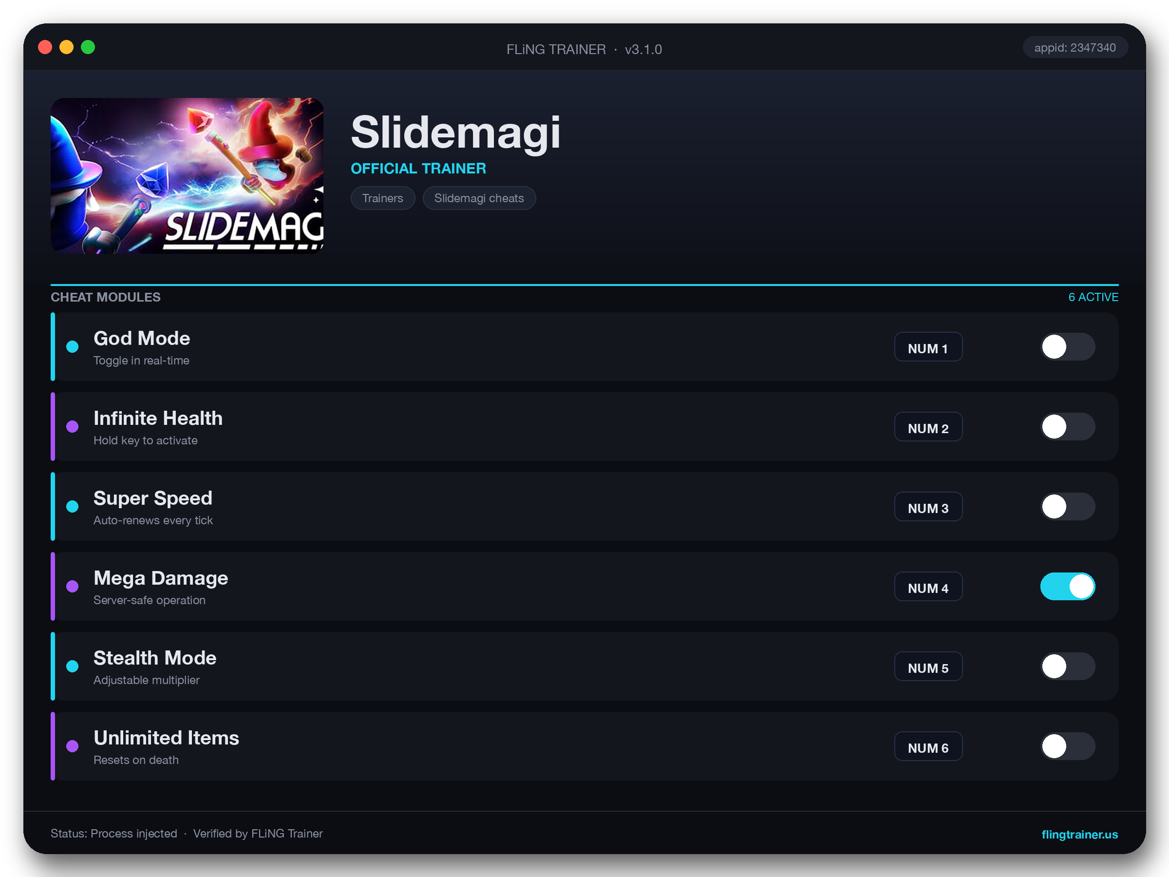 Slidemagi Trainer interface