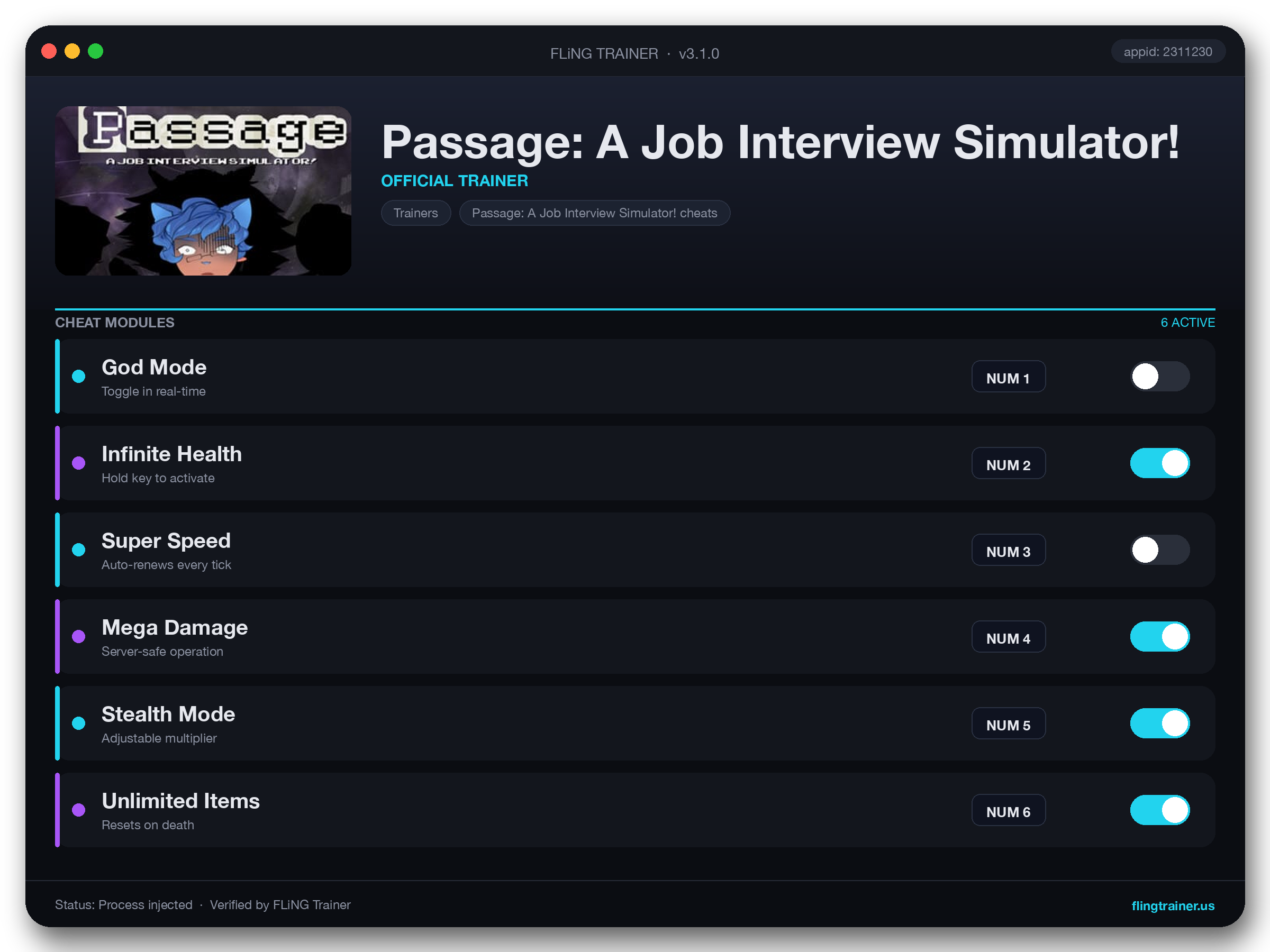 Passage: A Job Interview Simulator! Trainer interface