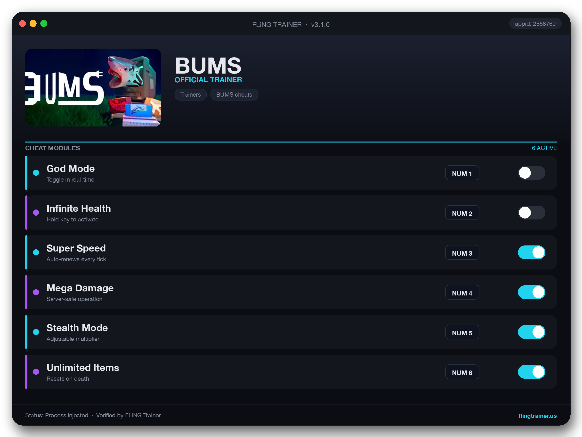 BUMS Trainer interface