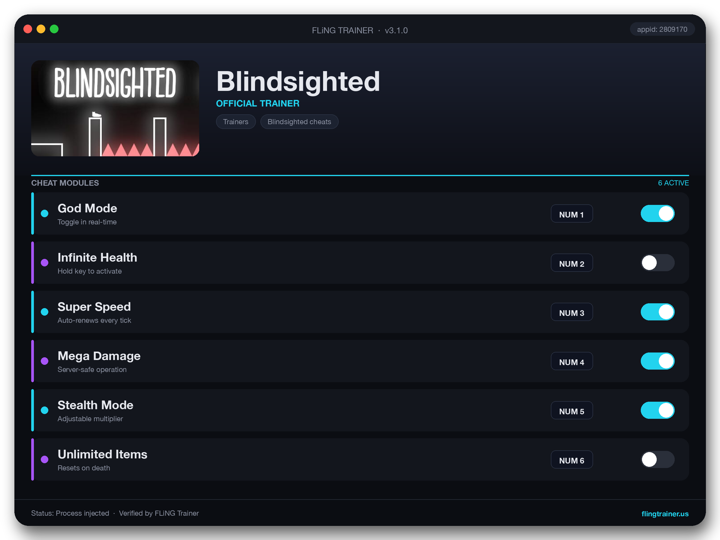 Blindsighted Trainer interface