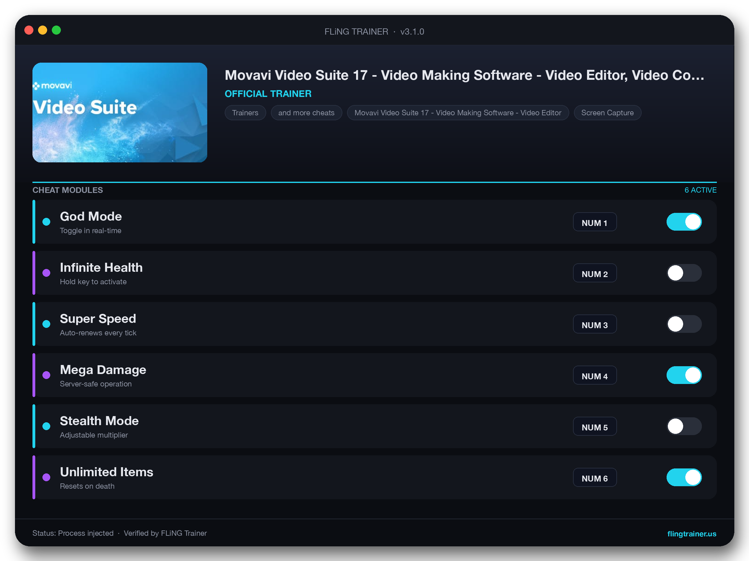 Movavi Video Suite 17 - Video Making Software - Video Editor, Video Converter, Screen Capture, and more Trainer interface