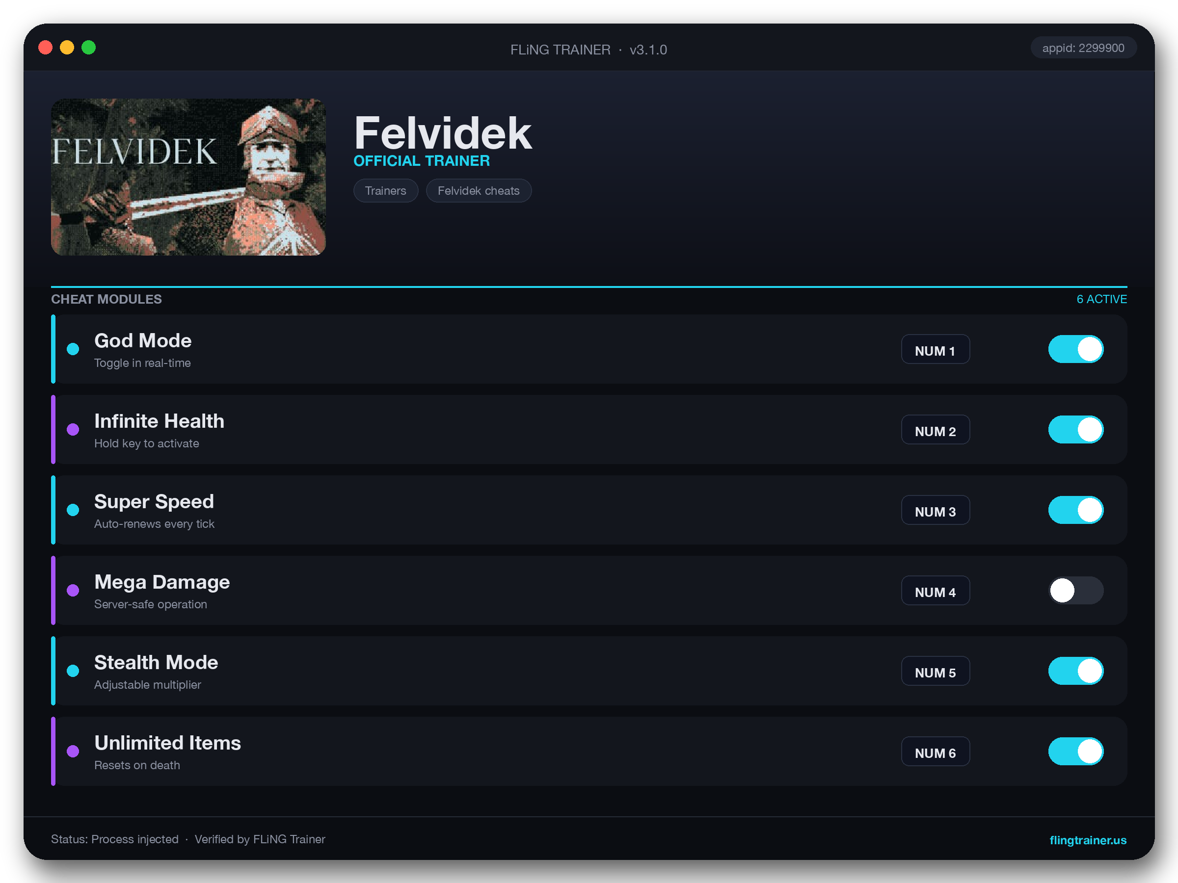 Felvidek Trainer interface