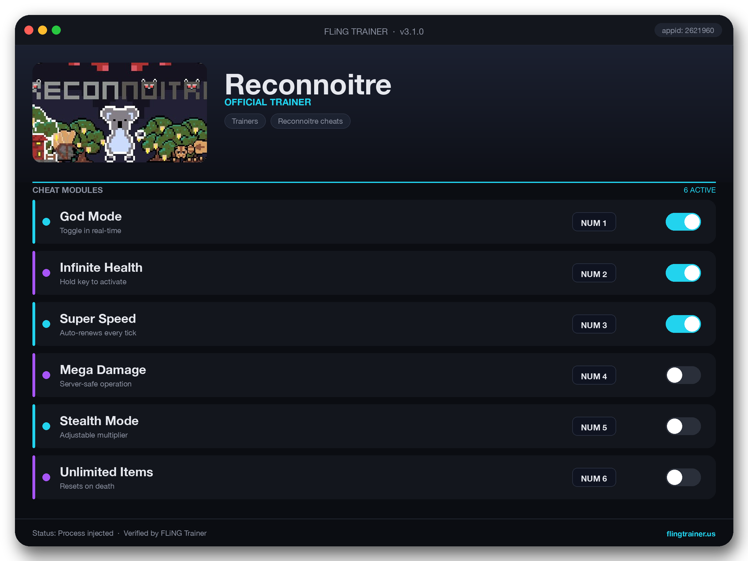 Reconnoitre Trainer interface
