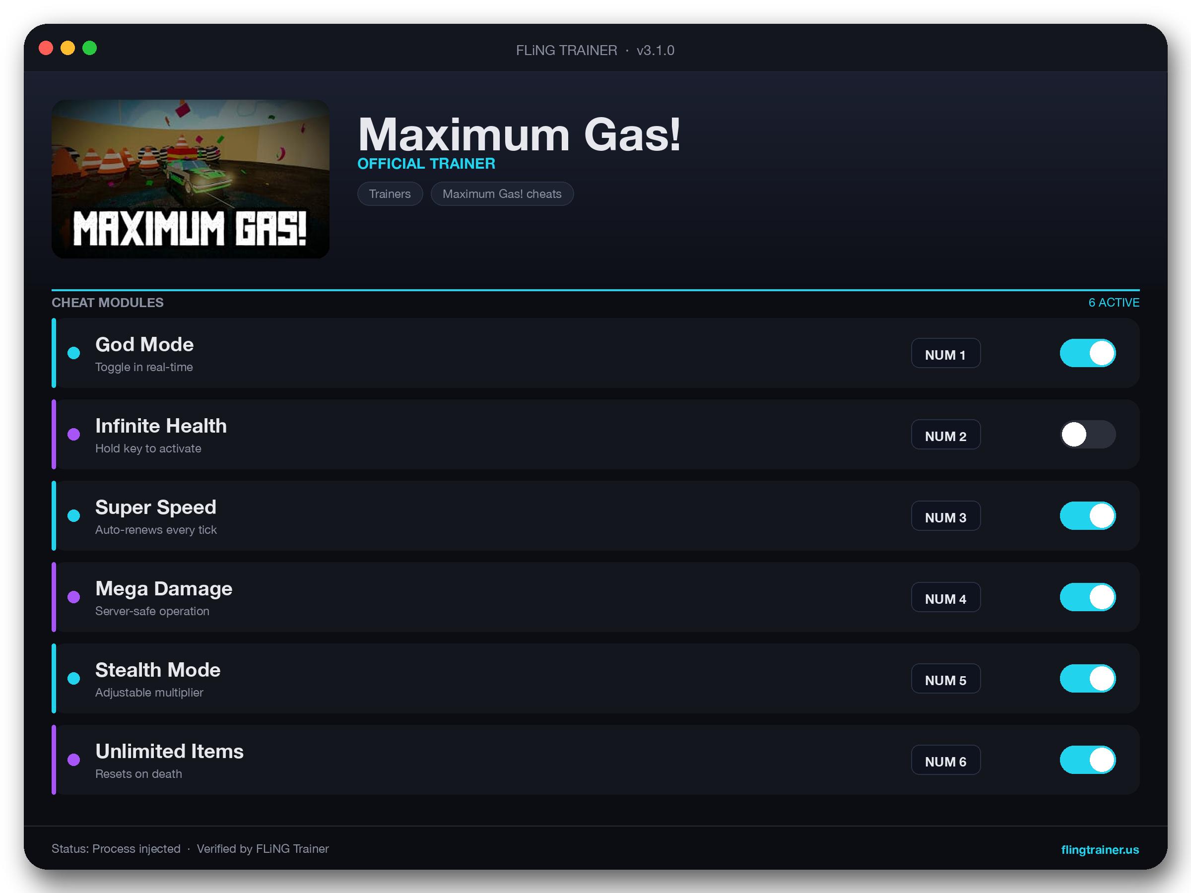 Maximum Gas! Trainer interface