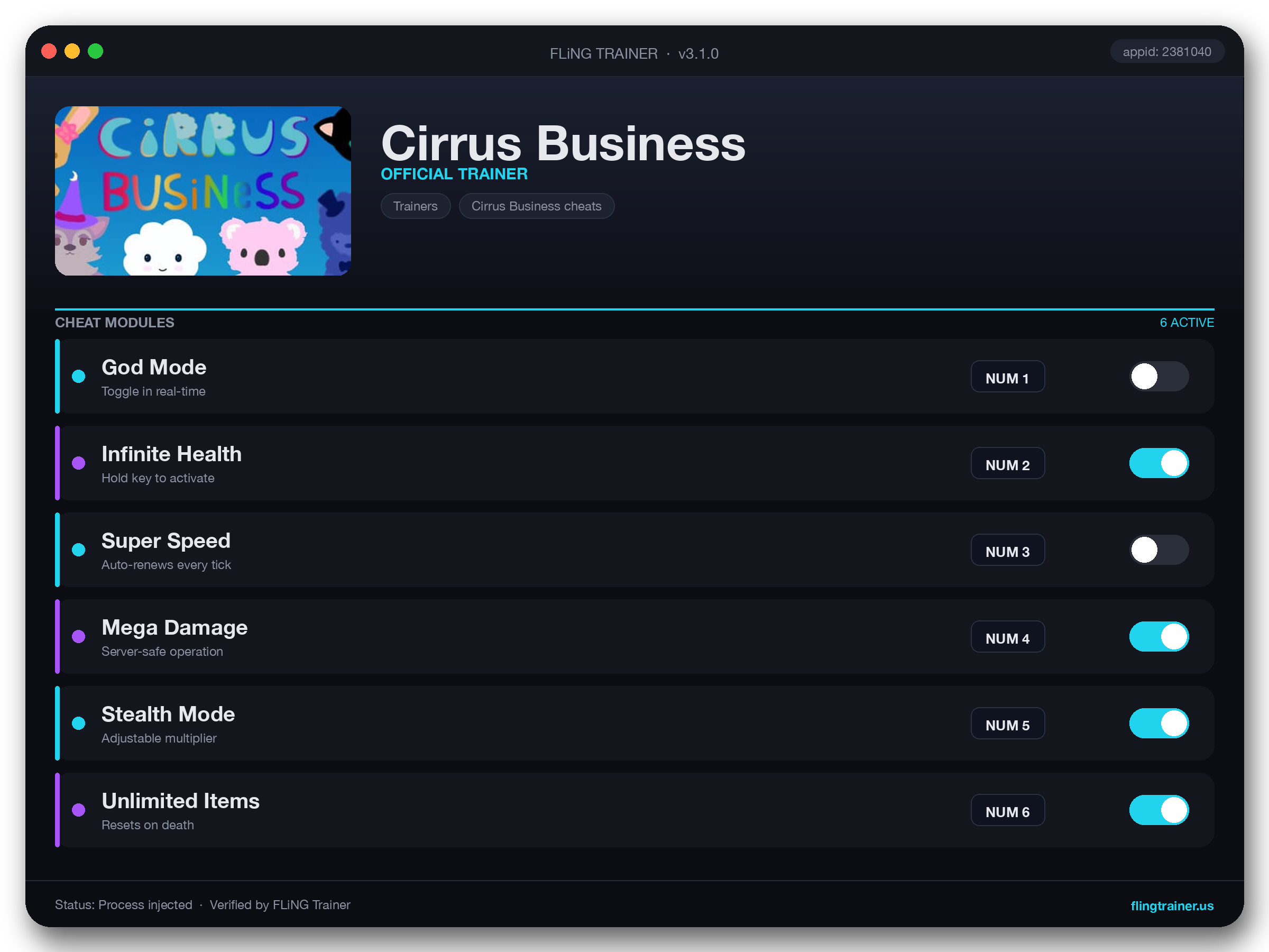 Cirrus Business Trainer interface