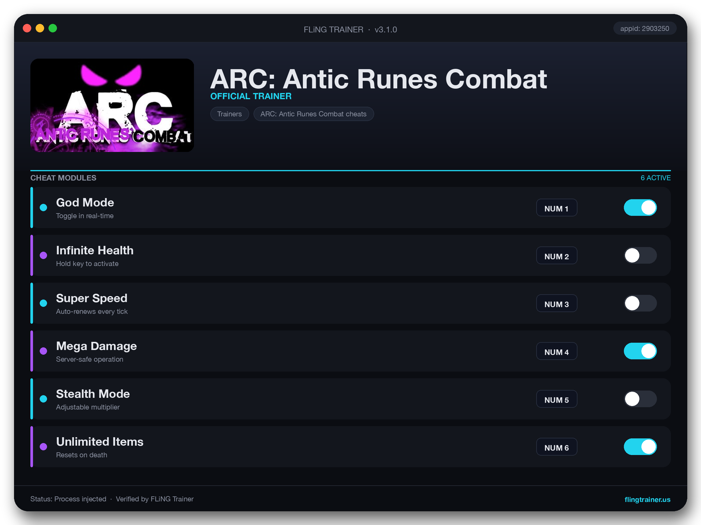 ARC: Antic Runes Combat Trainer interface