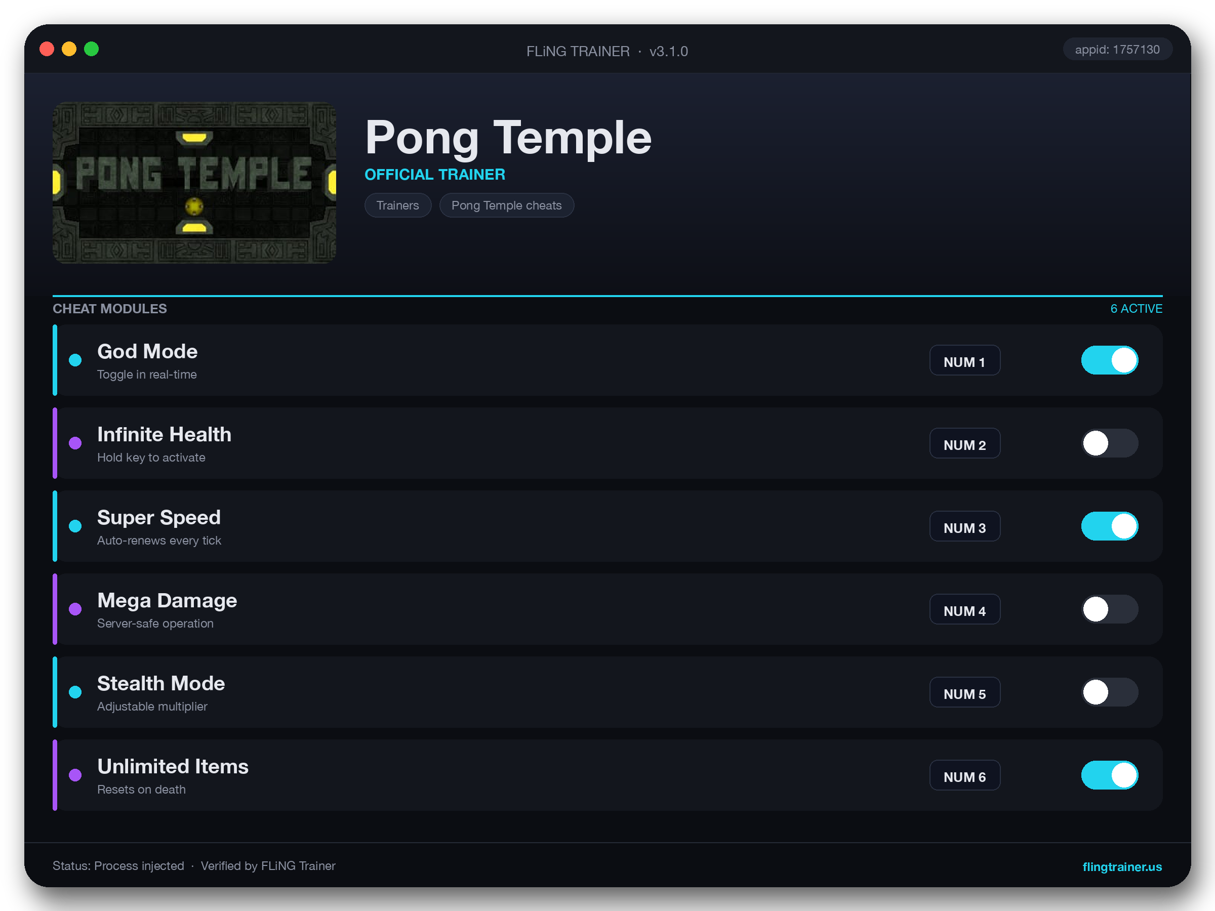 Pong Temple Trainer interface