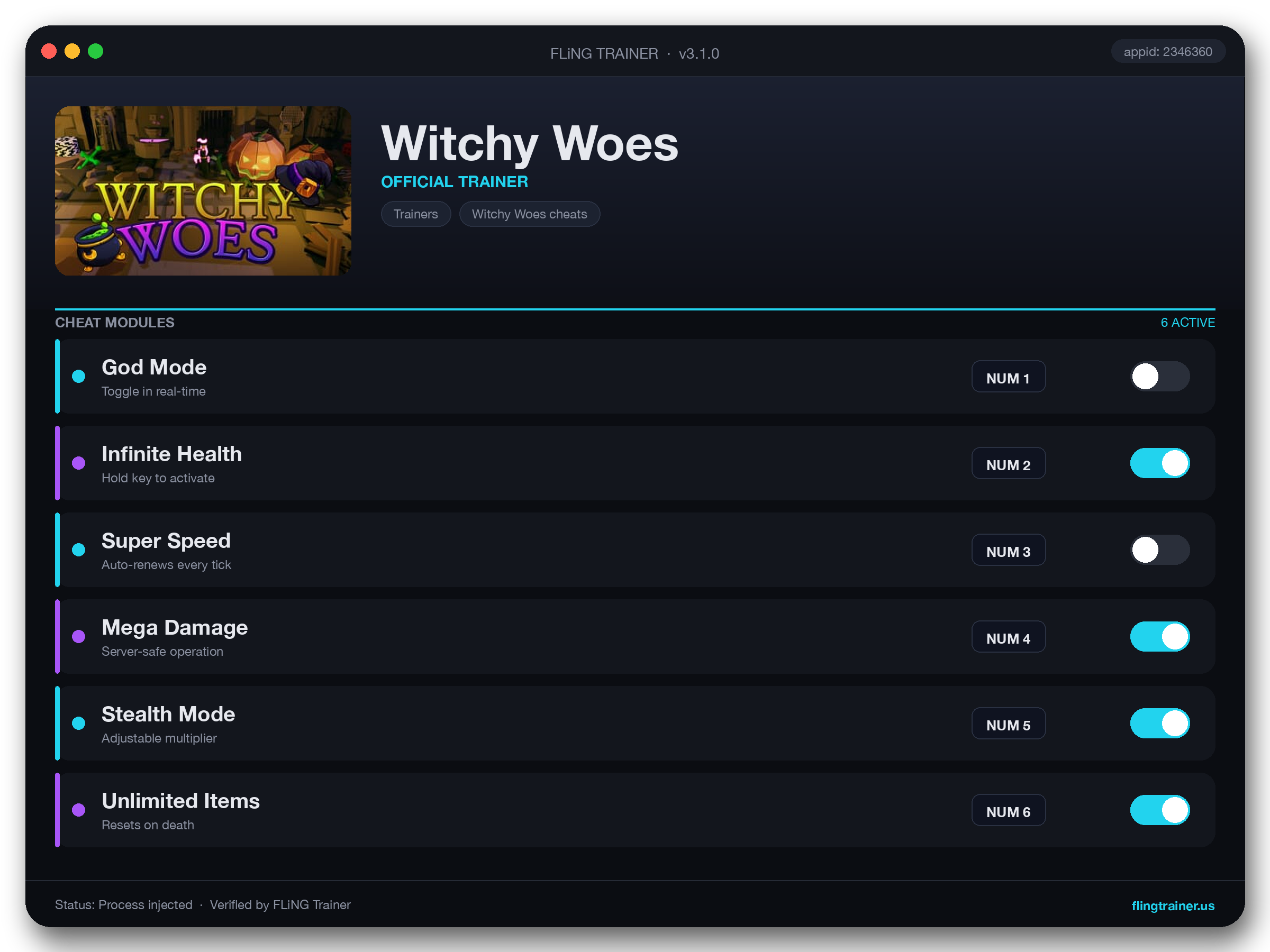 Witchy Woes Trainer interface