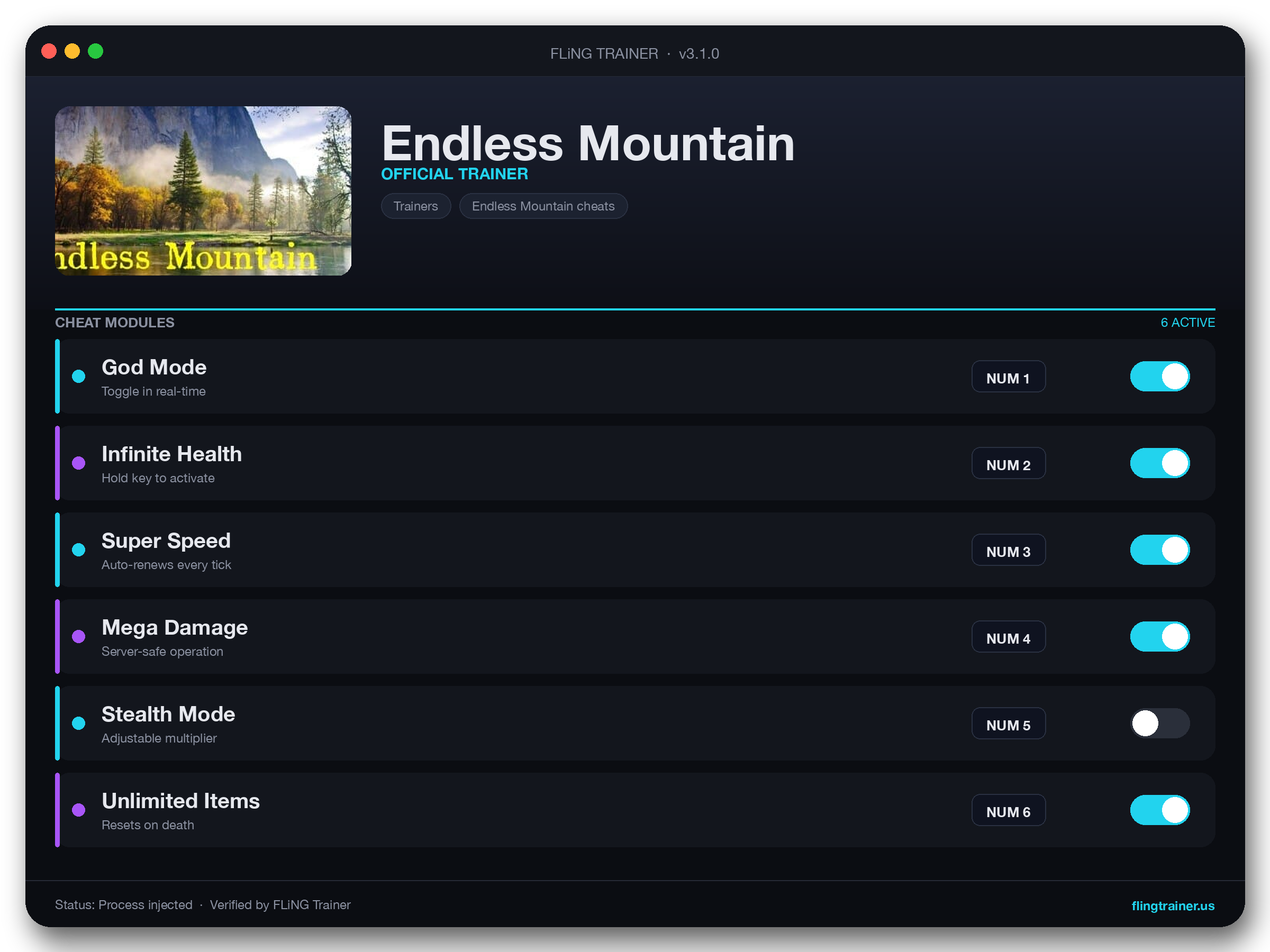 Endless Mountain Trainer interface