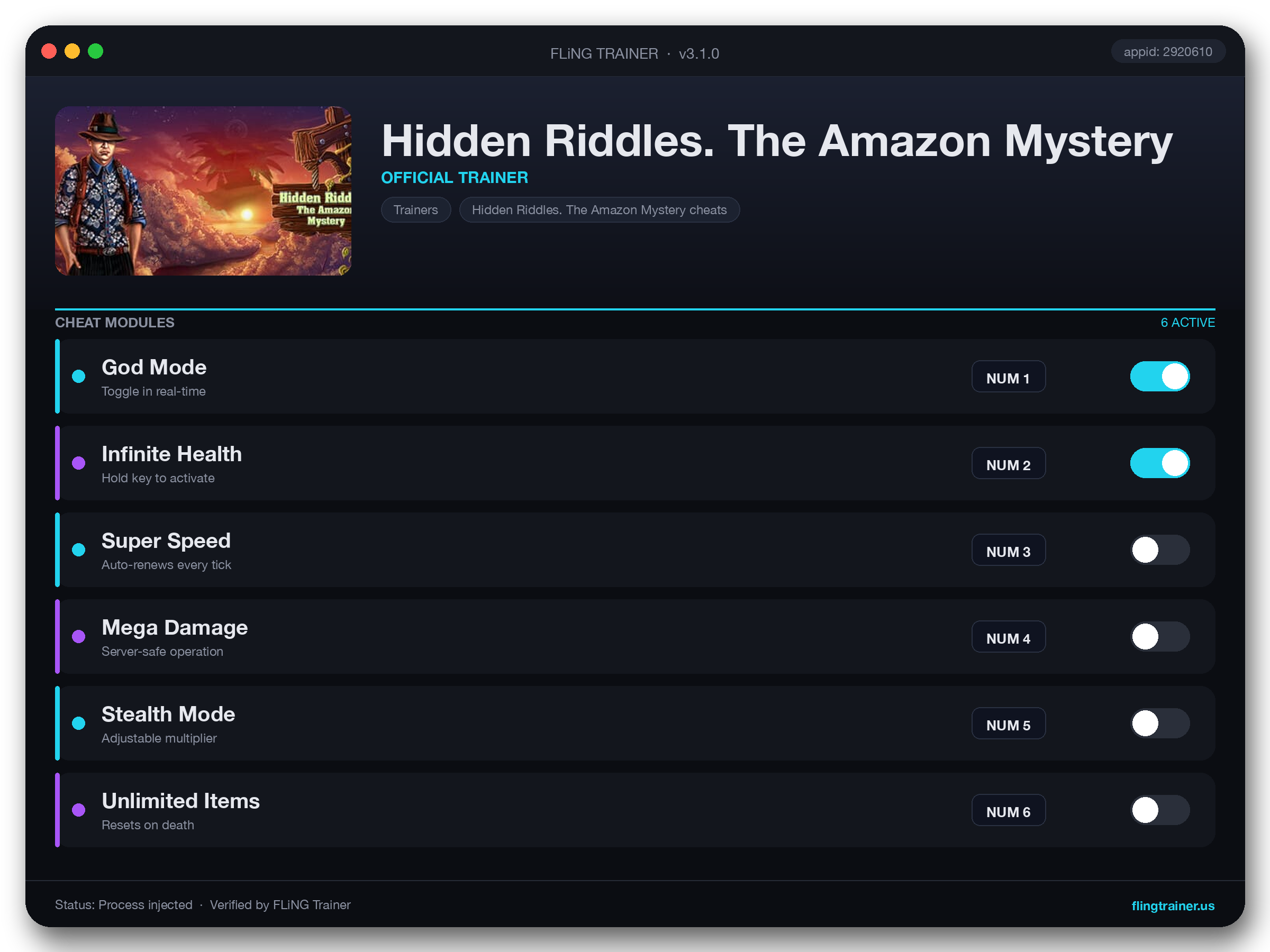 Hidden Riddles. The Amazon Mystery Trainer interface
