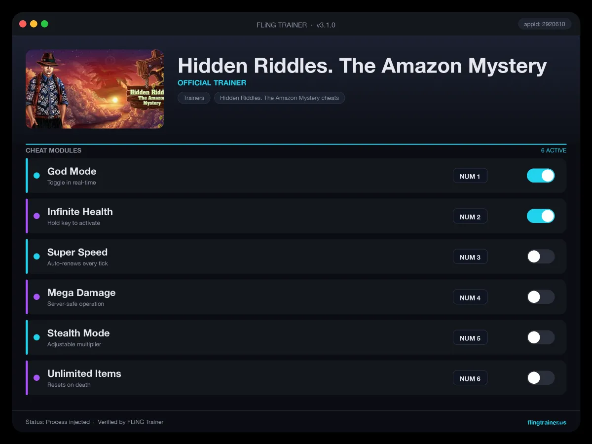 Hidden Riddles. The Amazon Mystery Trainer interface