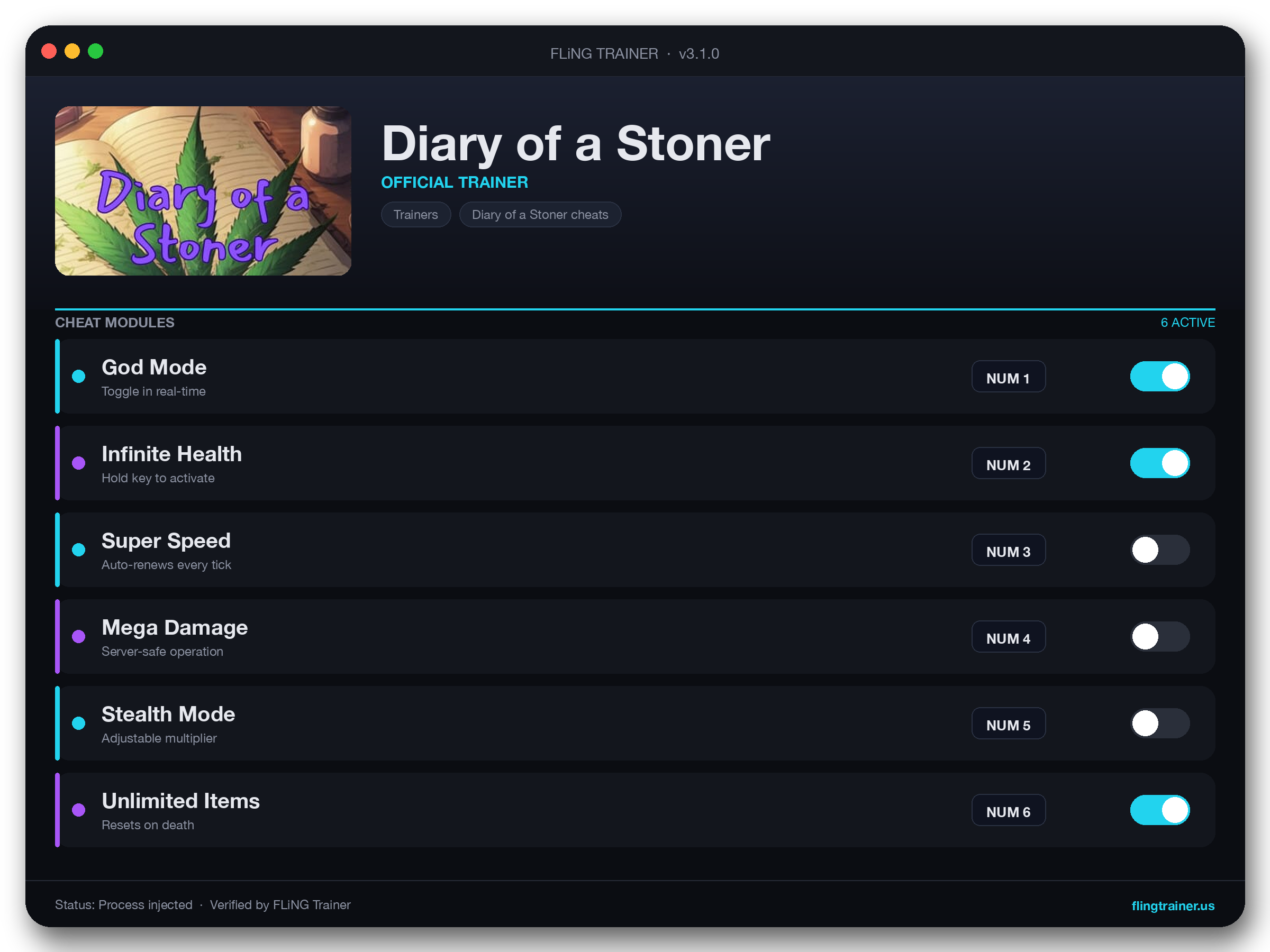 Diary of a Stoner Trainer interface