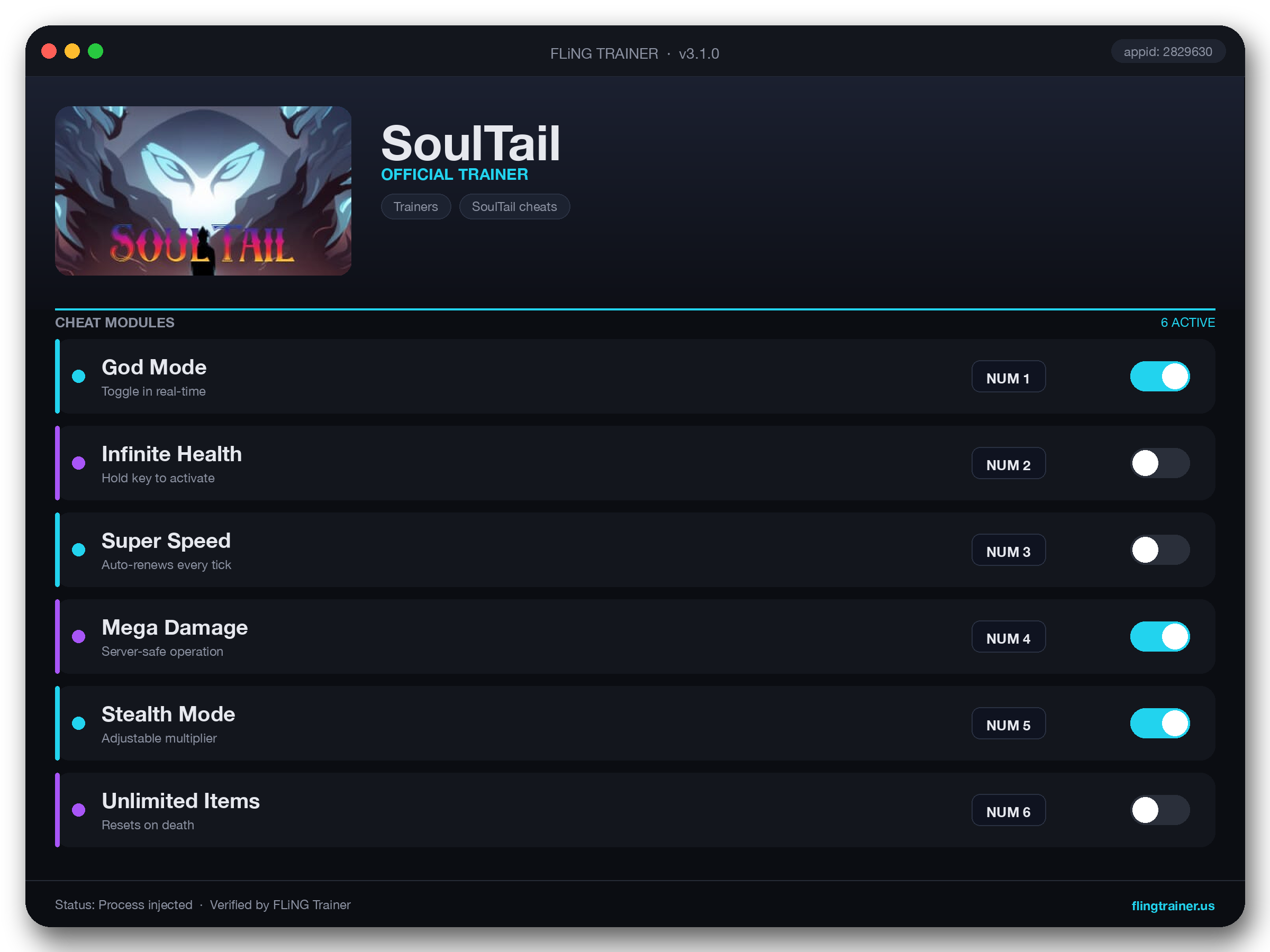 SoulTail Trainer interface