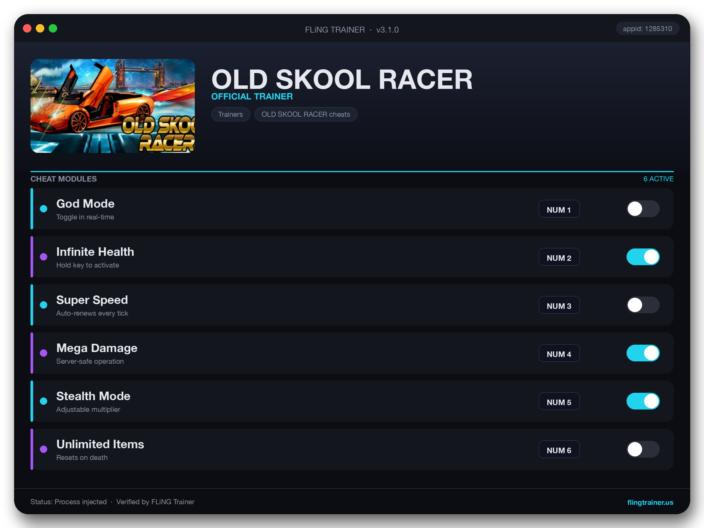 OLD SKOOL RACER Trainer interface