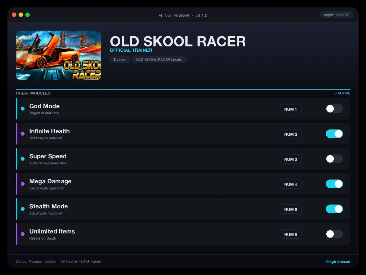 OLD SKOOL RACER Trainer interface