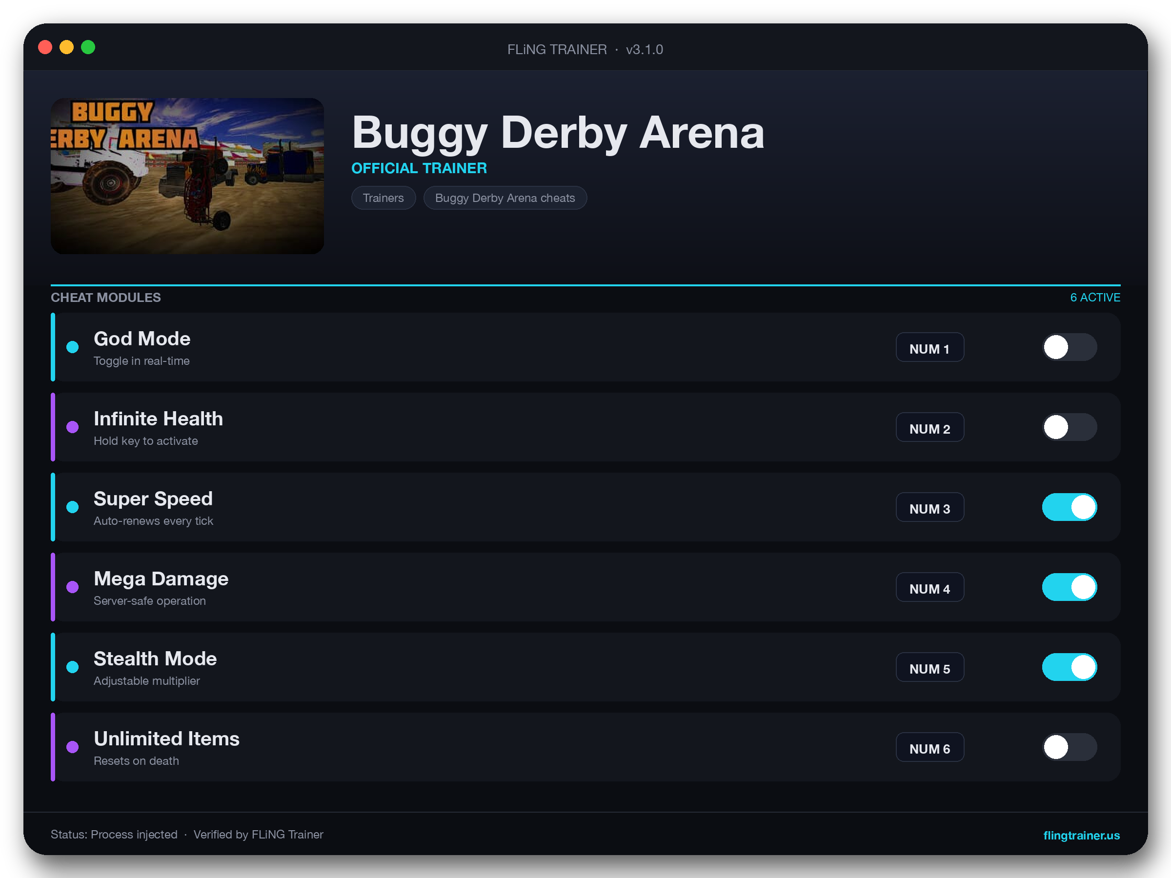 Buggy Derby Arena Trainer interface