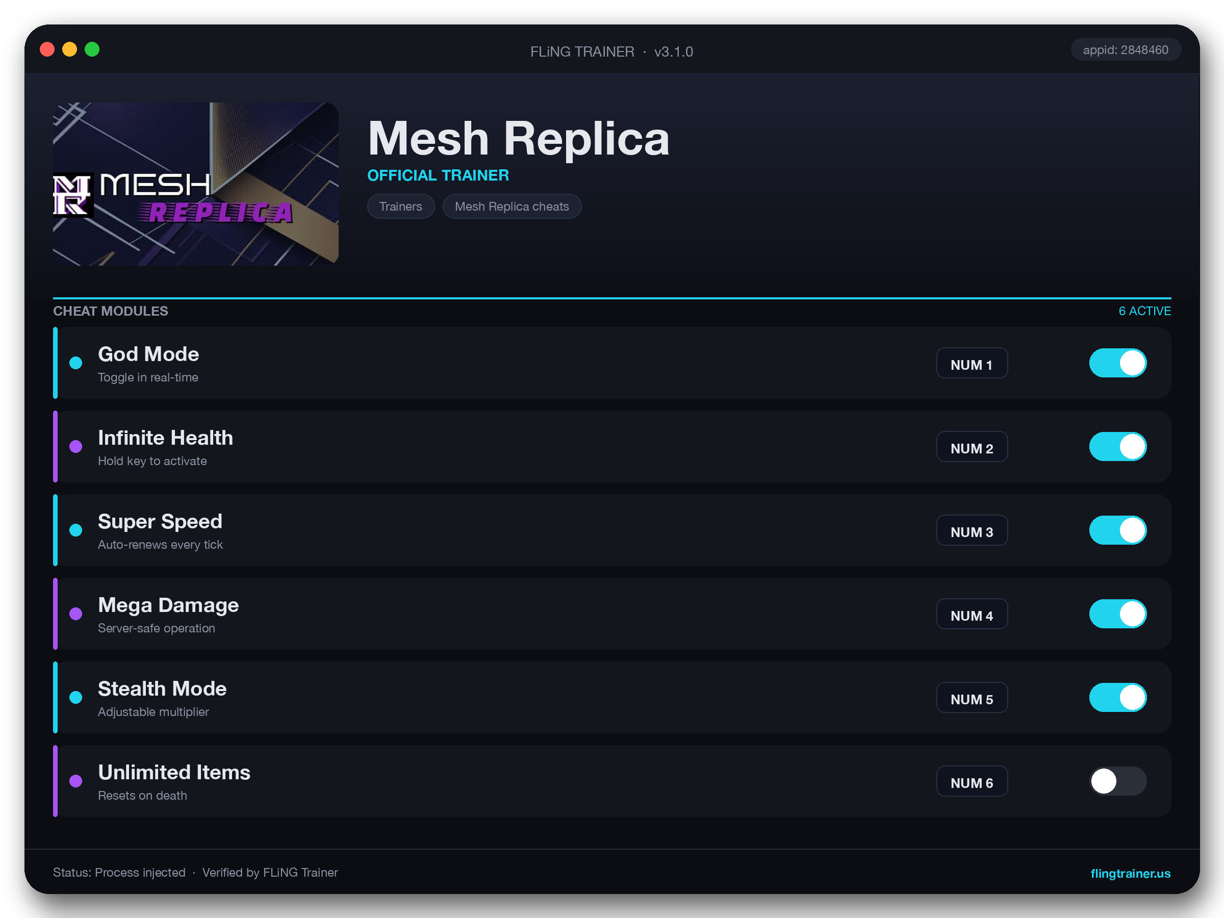 Mesh Replica Trainer interface