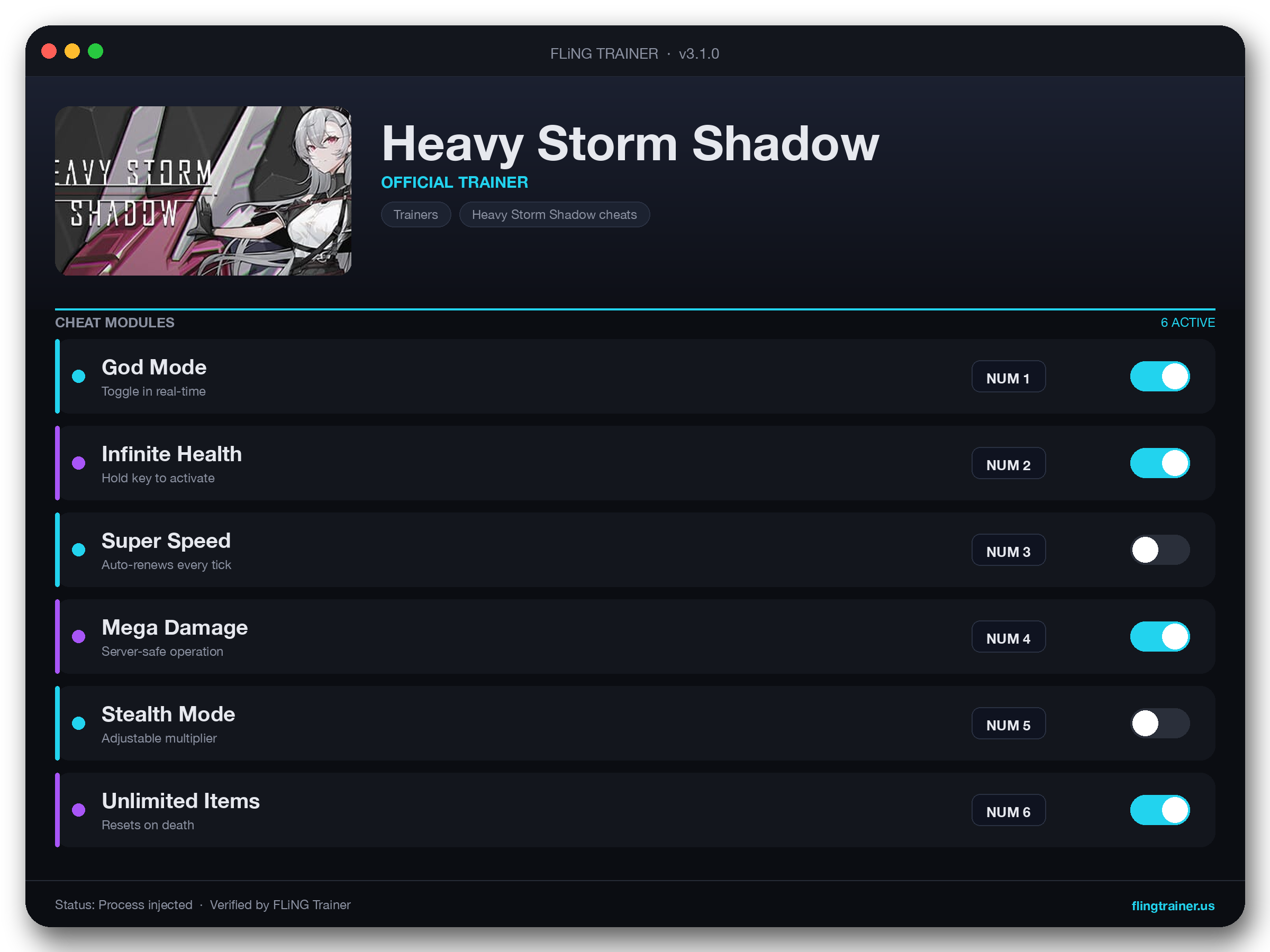Heavy Storm Shadow Trainer interface
