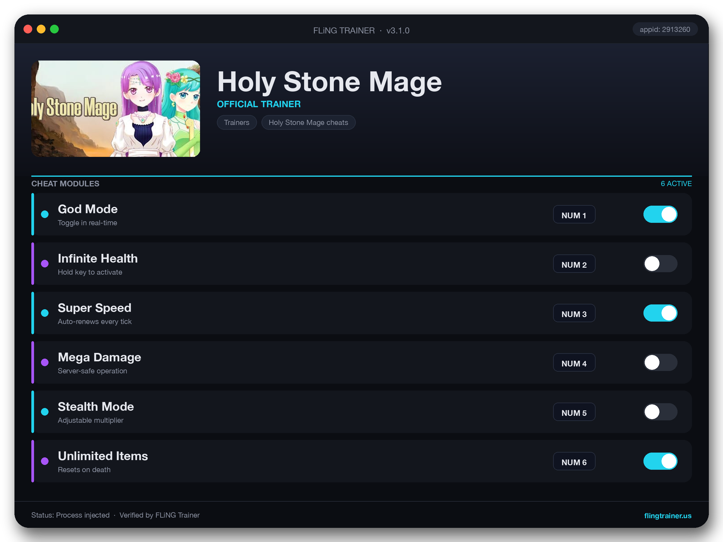 Holy Stone Mage Trainer interface