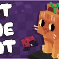Pat the Cat trainer — featured cover