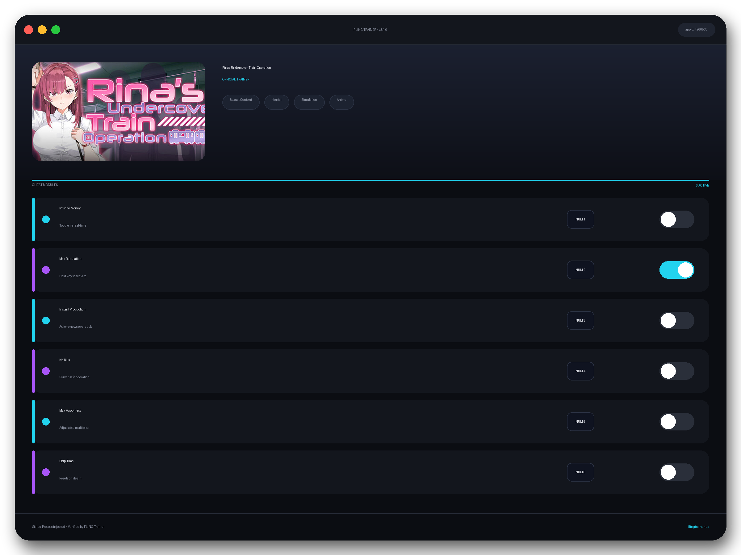 Rina's Undercover Train Operation Trainer interface