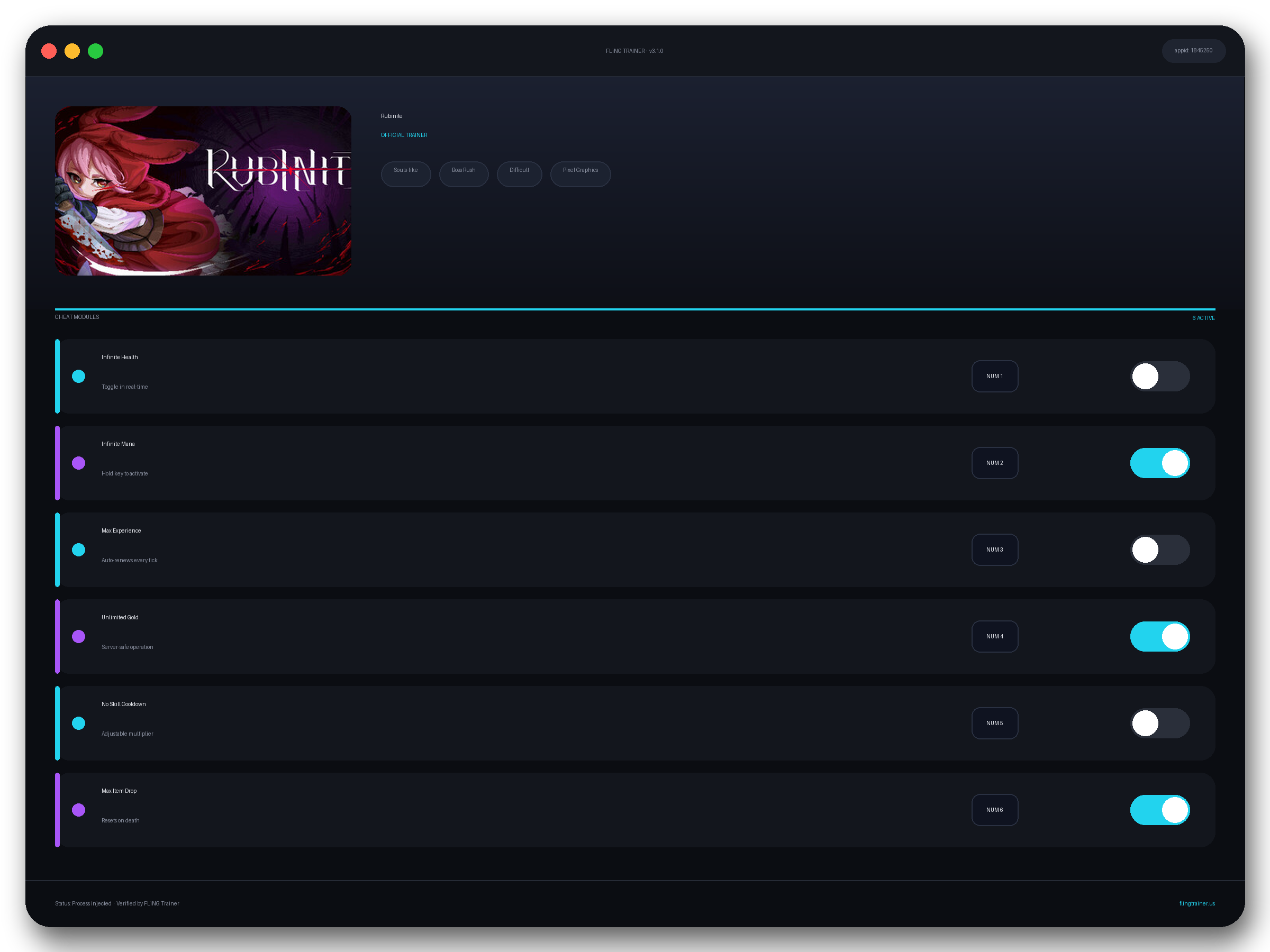 Rubinite Trainer interface