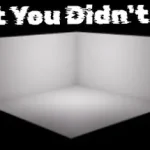 What You Didn’t See Trainer