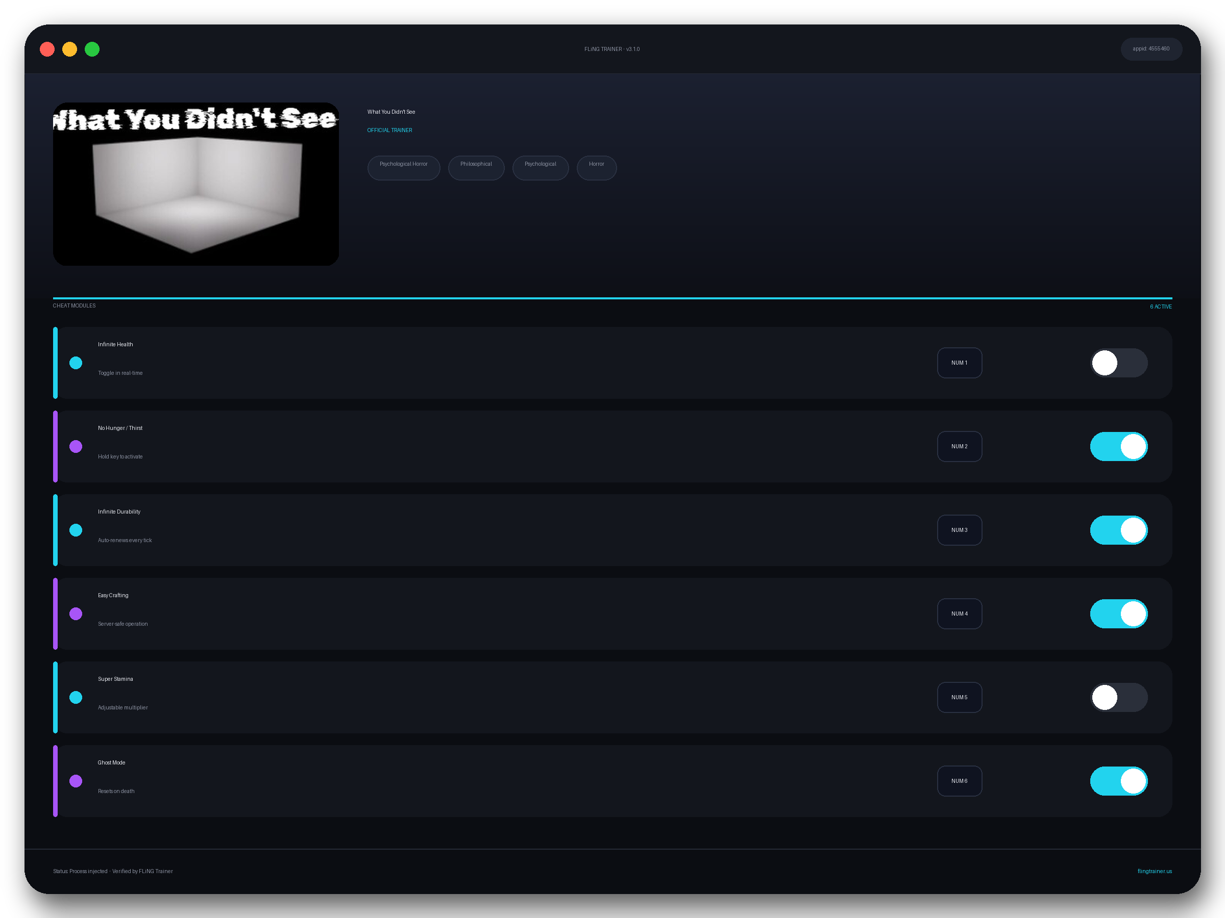 What You Didn't See Trainer interface