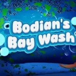Bodian’s Bay Wash Trainer
